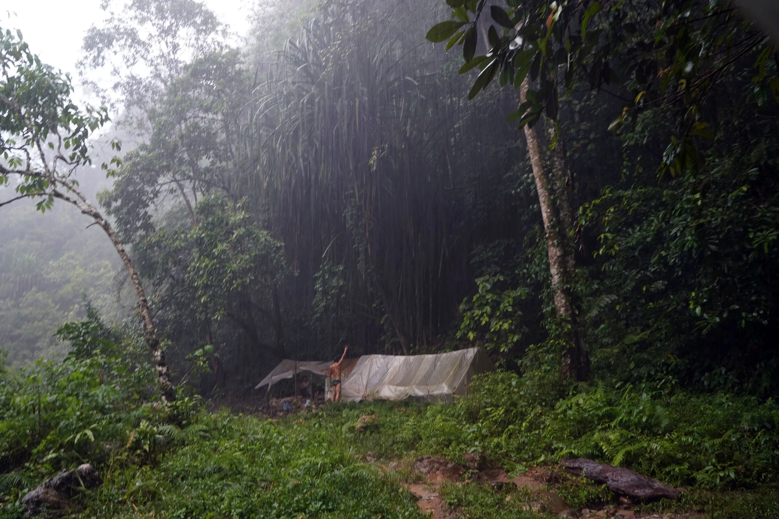 A heavy flash rainstorm in the Sumatran jungle.