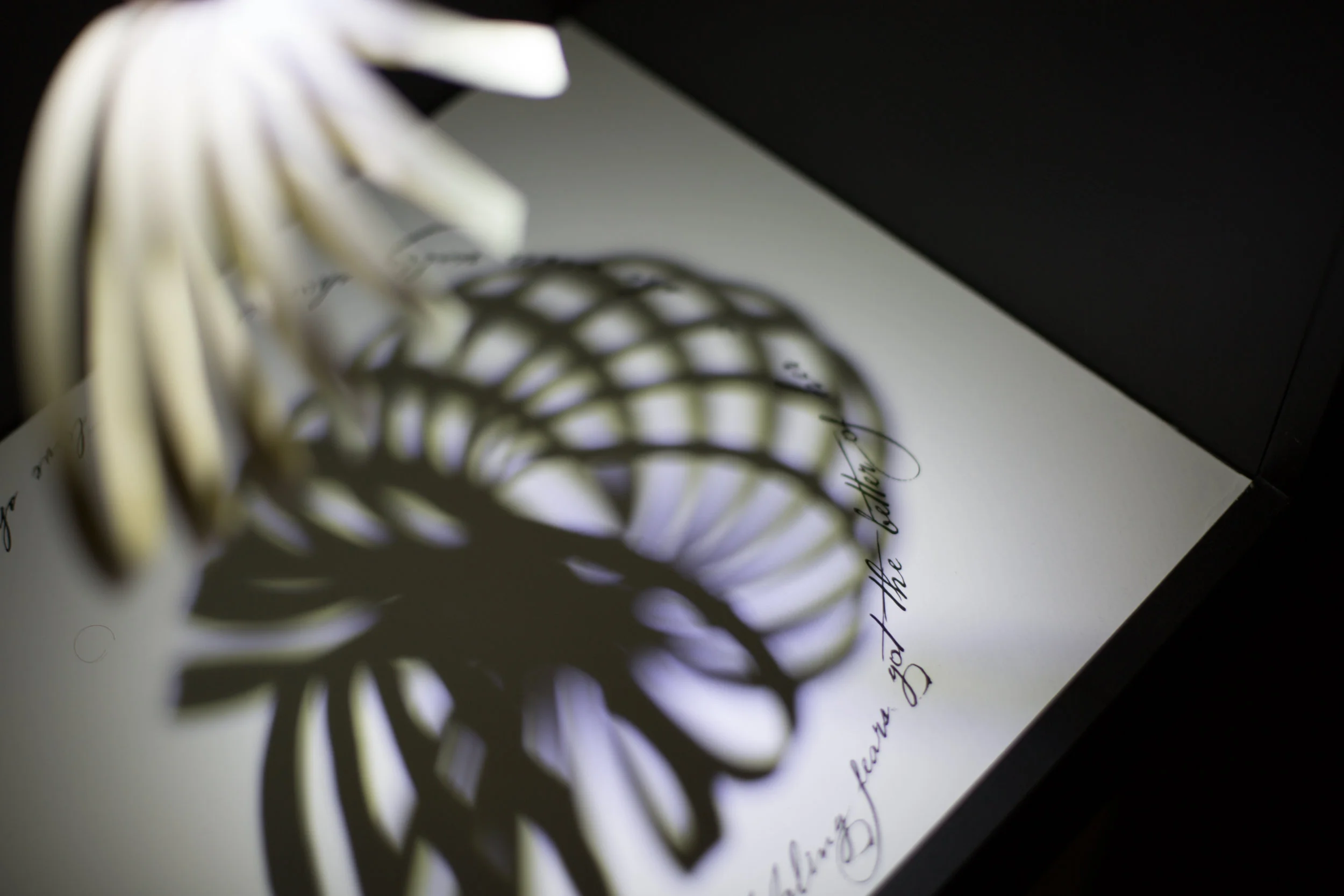  “Vellum Imago” interprets the complex, ambivalent relationships that are shaped and cemented in place by family stories.&nbsp;Deer parchment, wet-formed and sewn over a bronze frame,&nbsp;embodies the tension between our public role and the private 