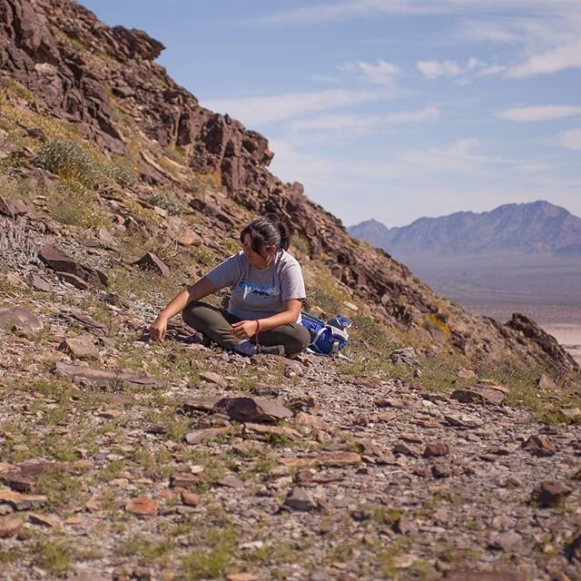 Congrats to @itsyourpal_val on her new botanist position at Tongass National Forest in Alaska! Although I left Joshua Tree NP last summer, I had the pleasure of working with Val for close to three years, botanizing the park with her and exploring the