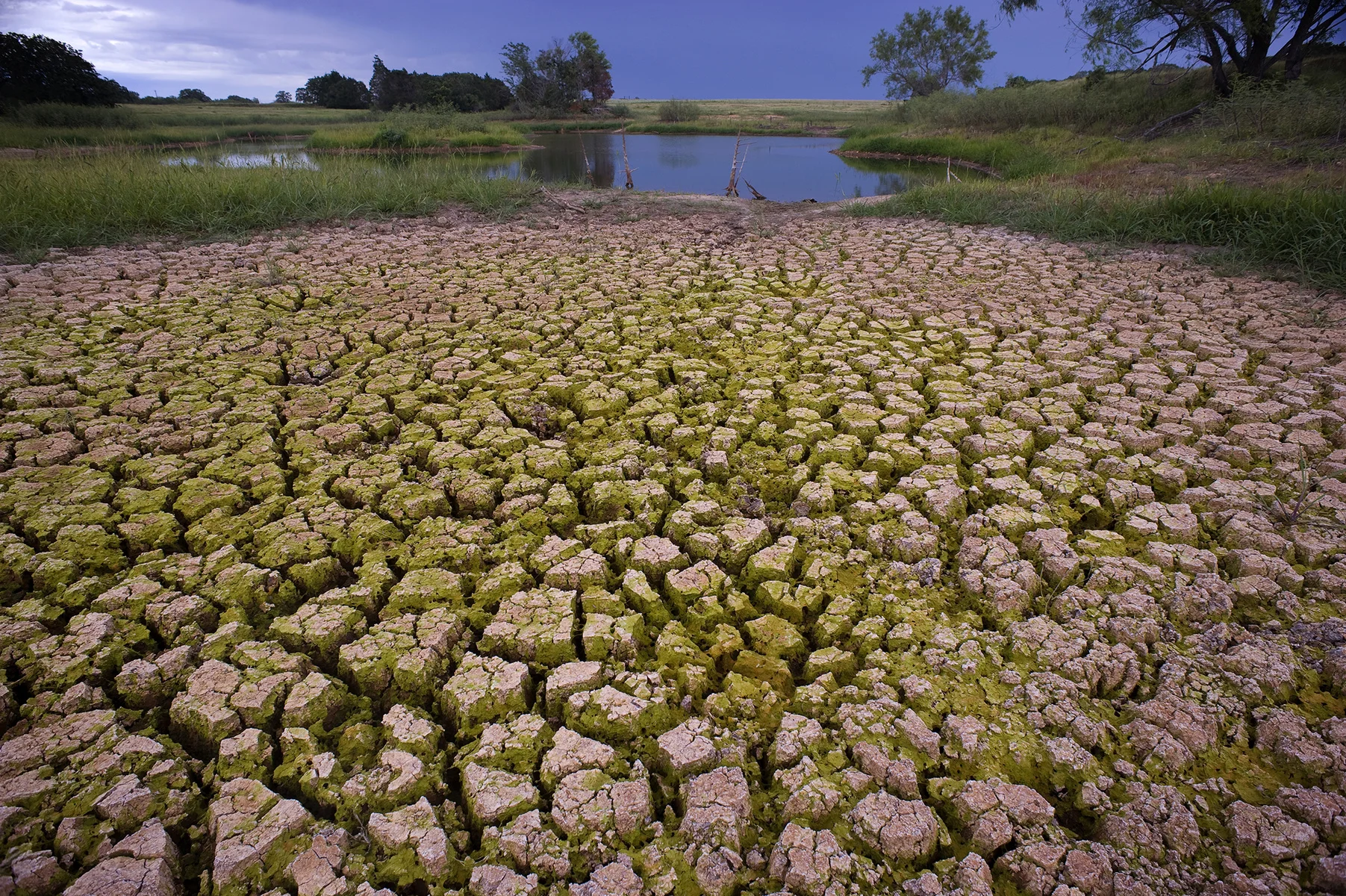 32365-1748674-DryGround.jpg