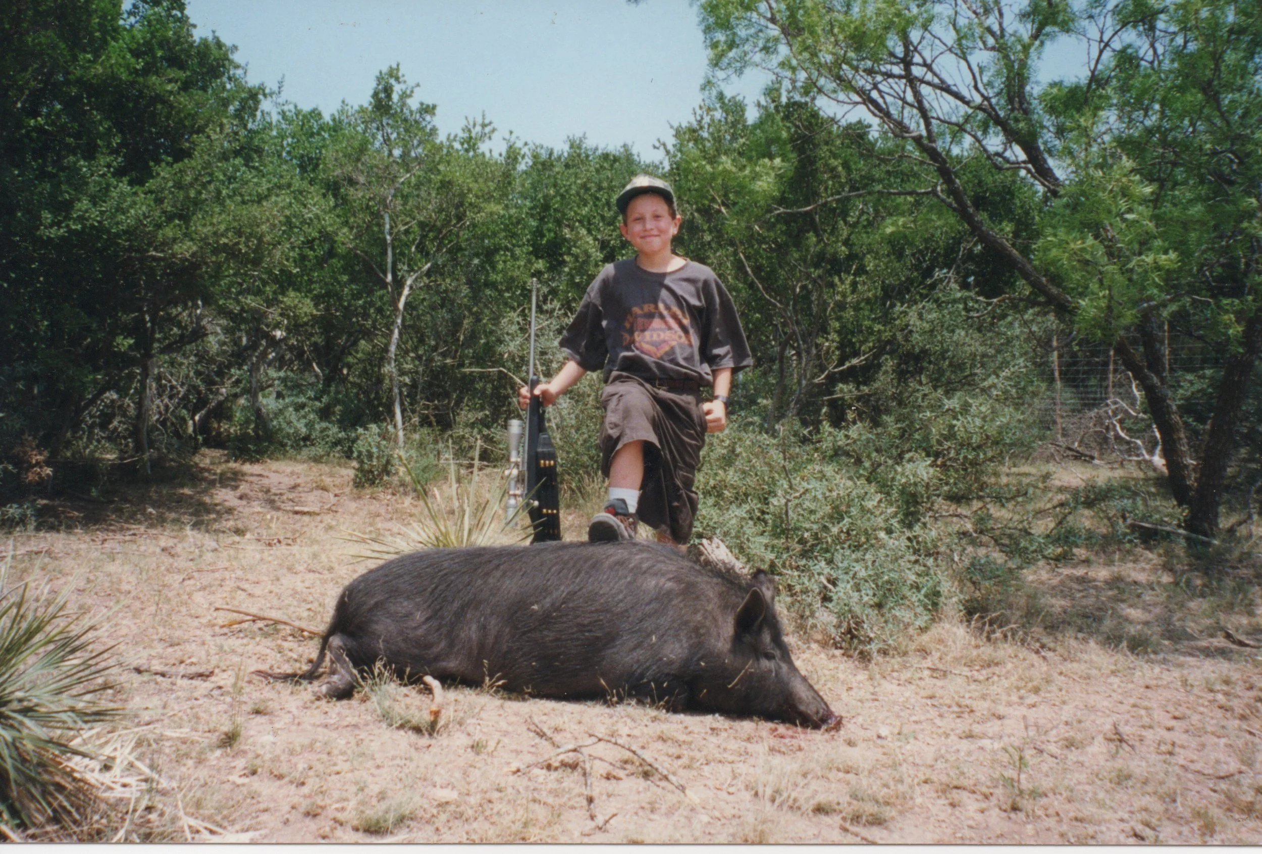 Photographs of the animals that I’ve killed; Closeup 2