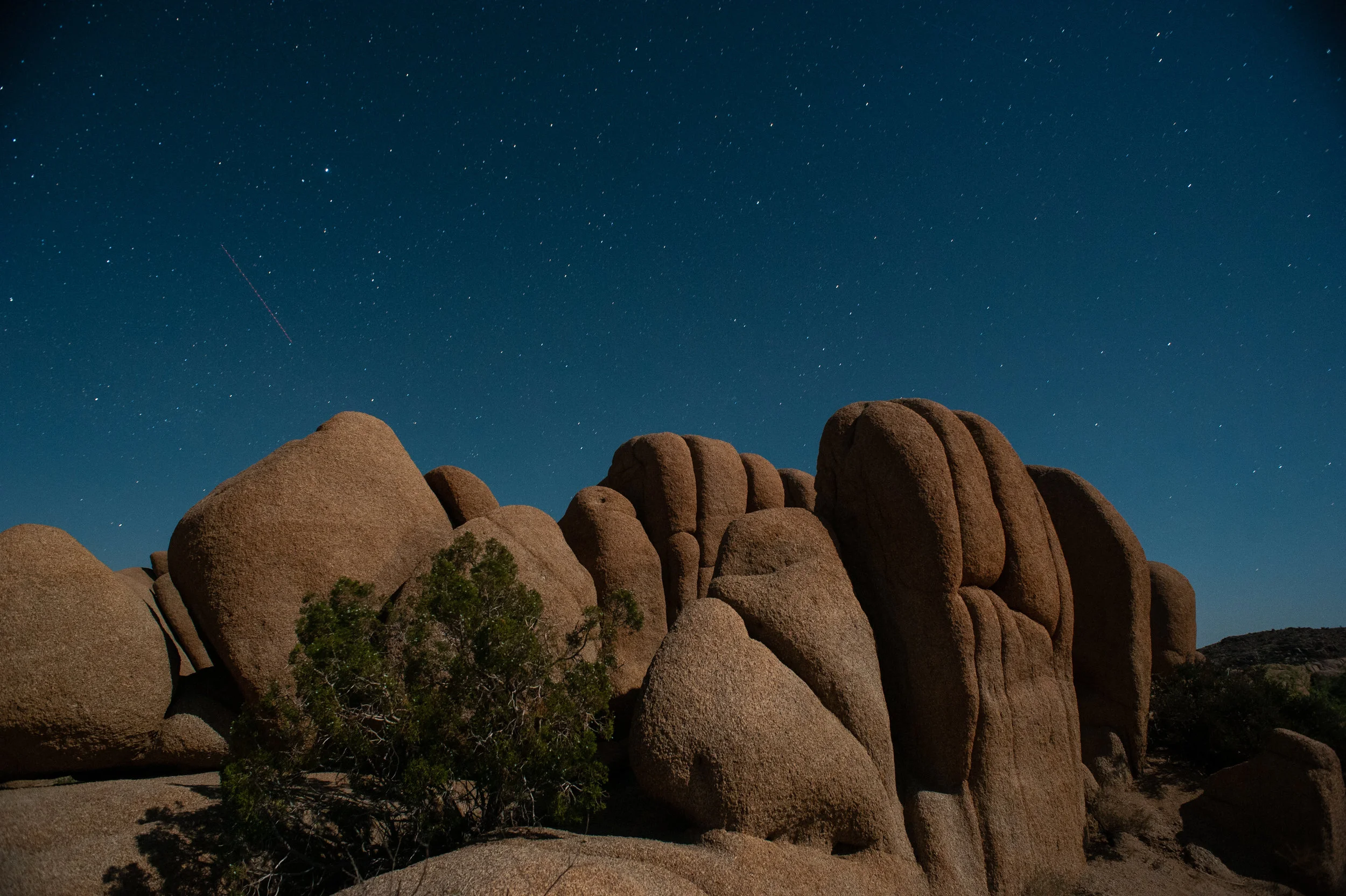 JoshuaTree-1.jpg