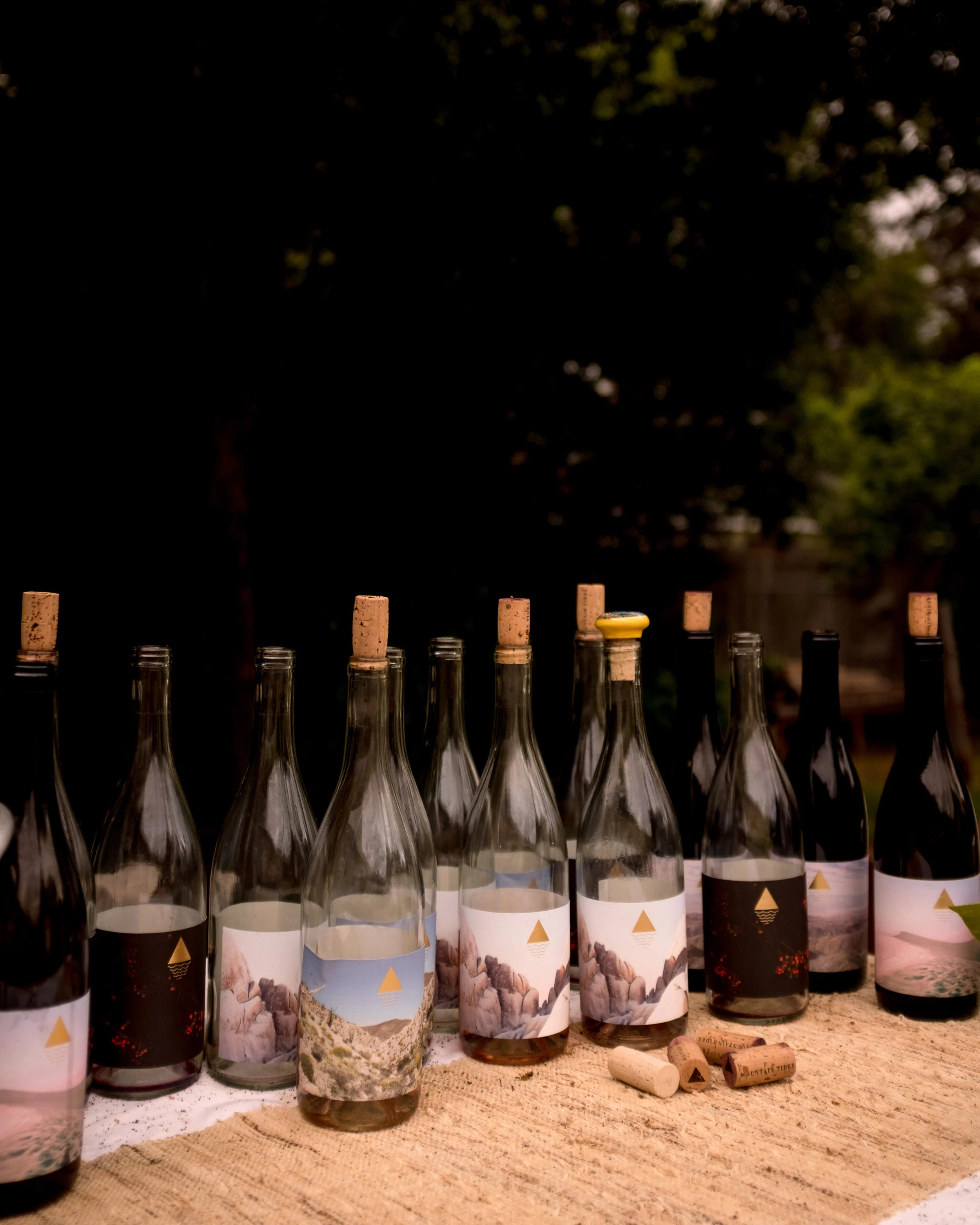 mountain-tides-wine-party-2.jpg