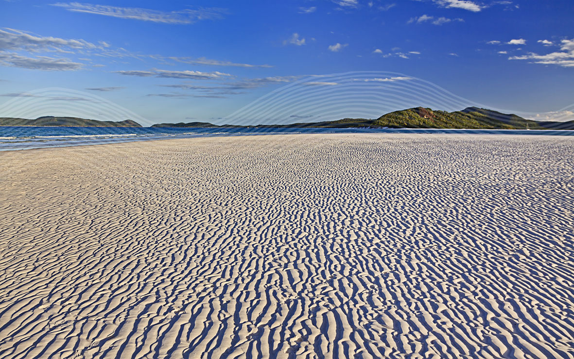 AdobeStock_134577303new copy.jpg