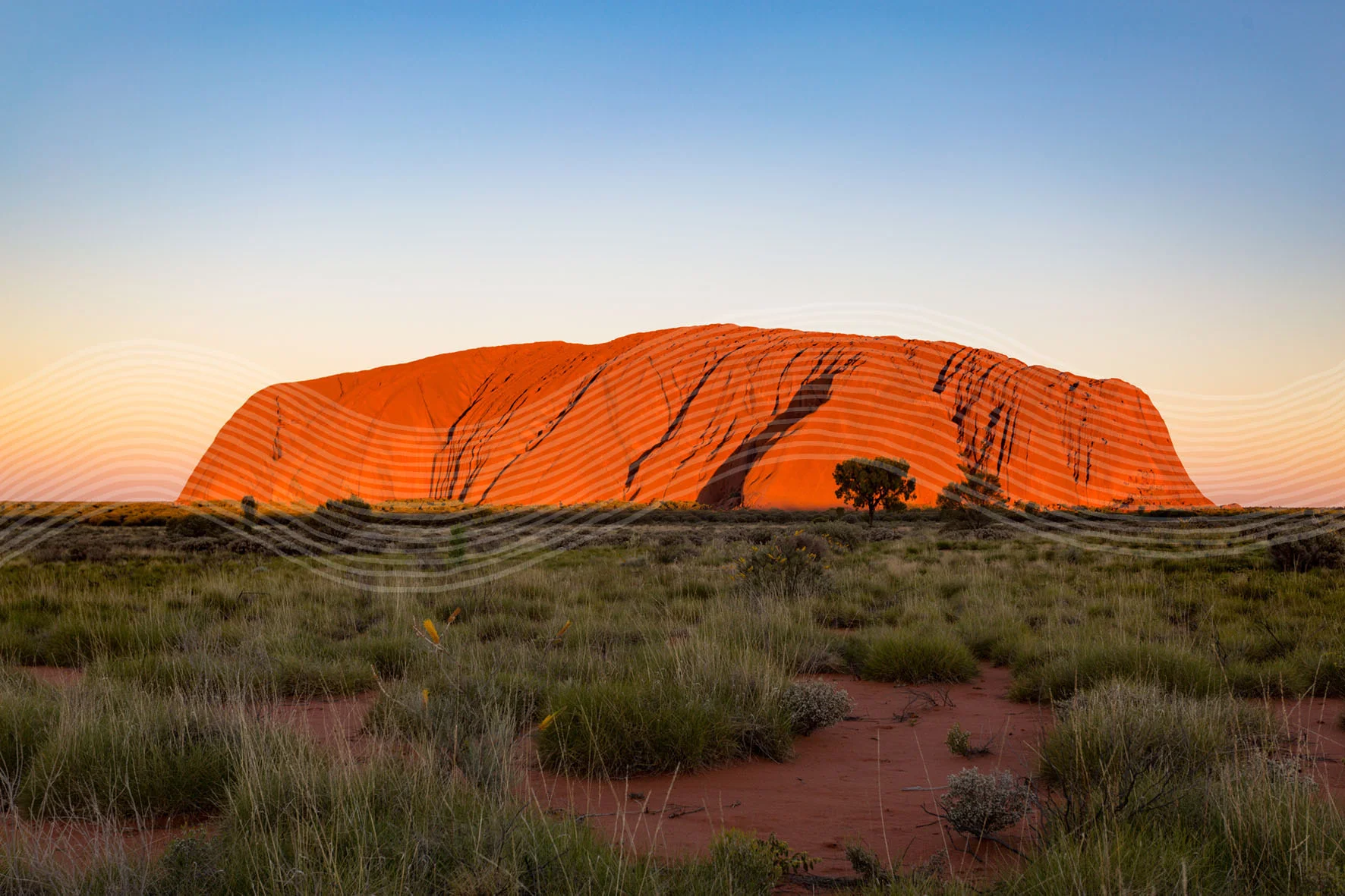 AdobeStock_129182248 new copy.jpg