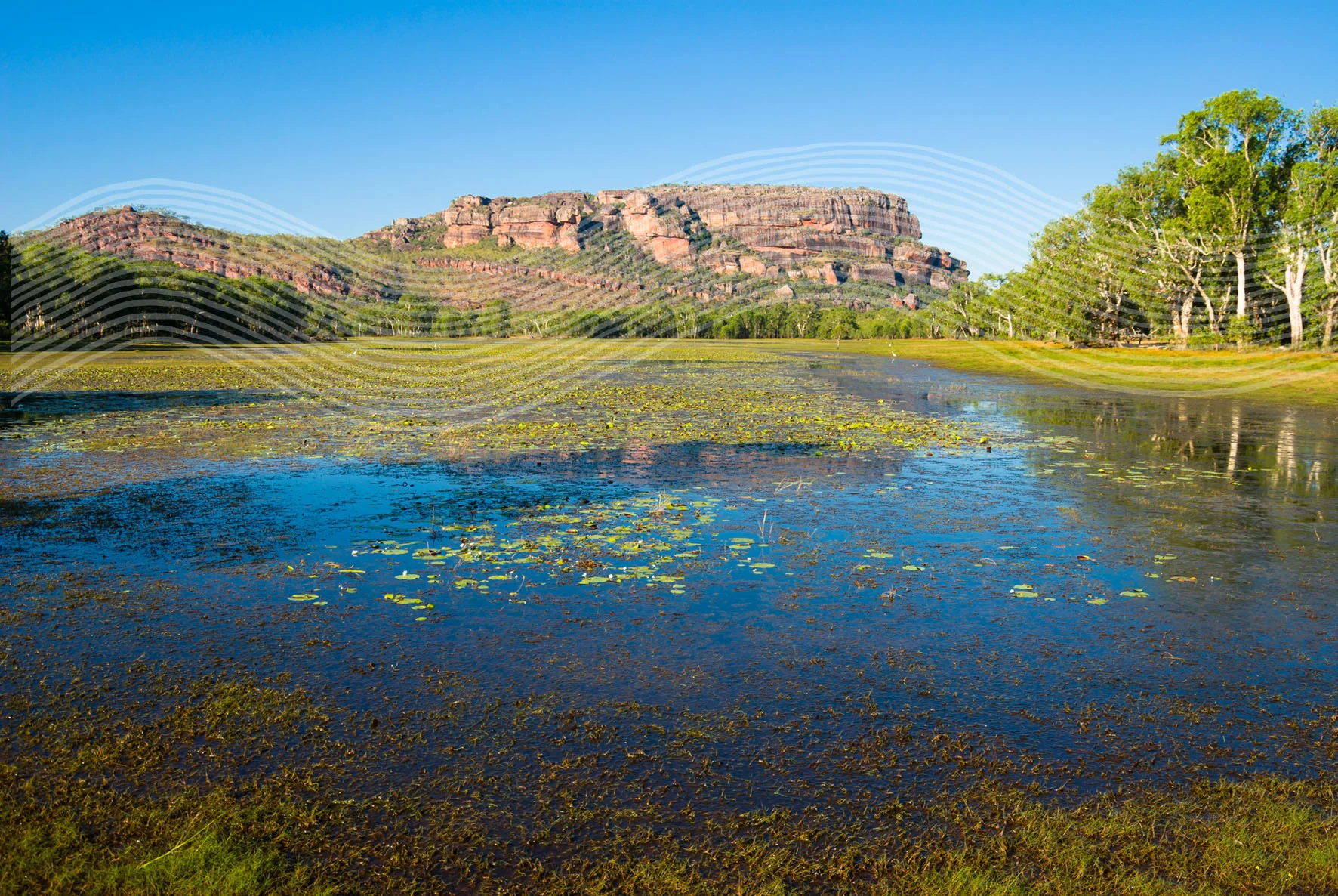 AdobeStock_74073184 new copy.jpg