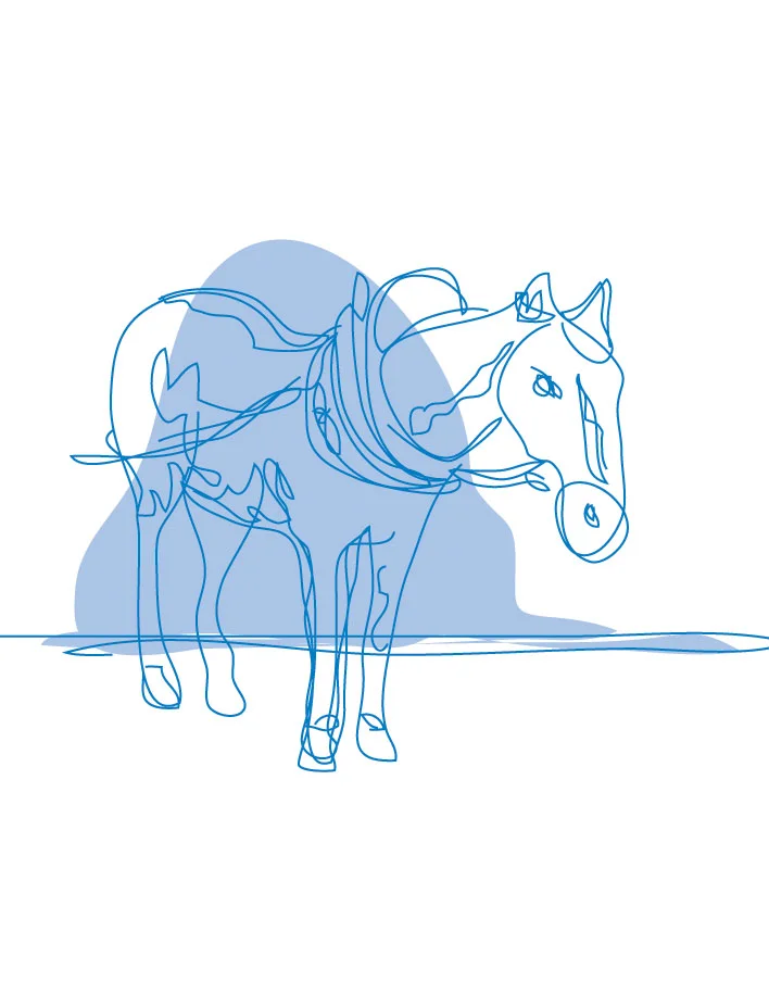 illo 4.jpg