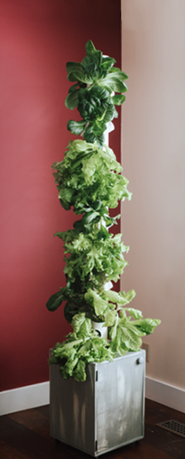 Screenshot_2019-05-30 tower-content-page webp (WEBP Image, 287 × 713 pixels) - Scaled (93%).png