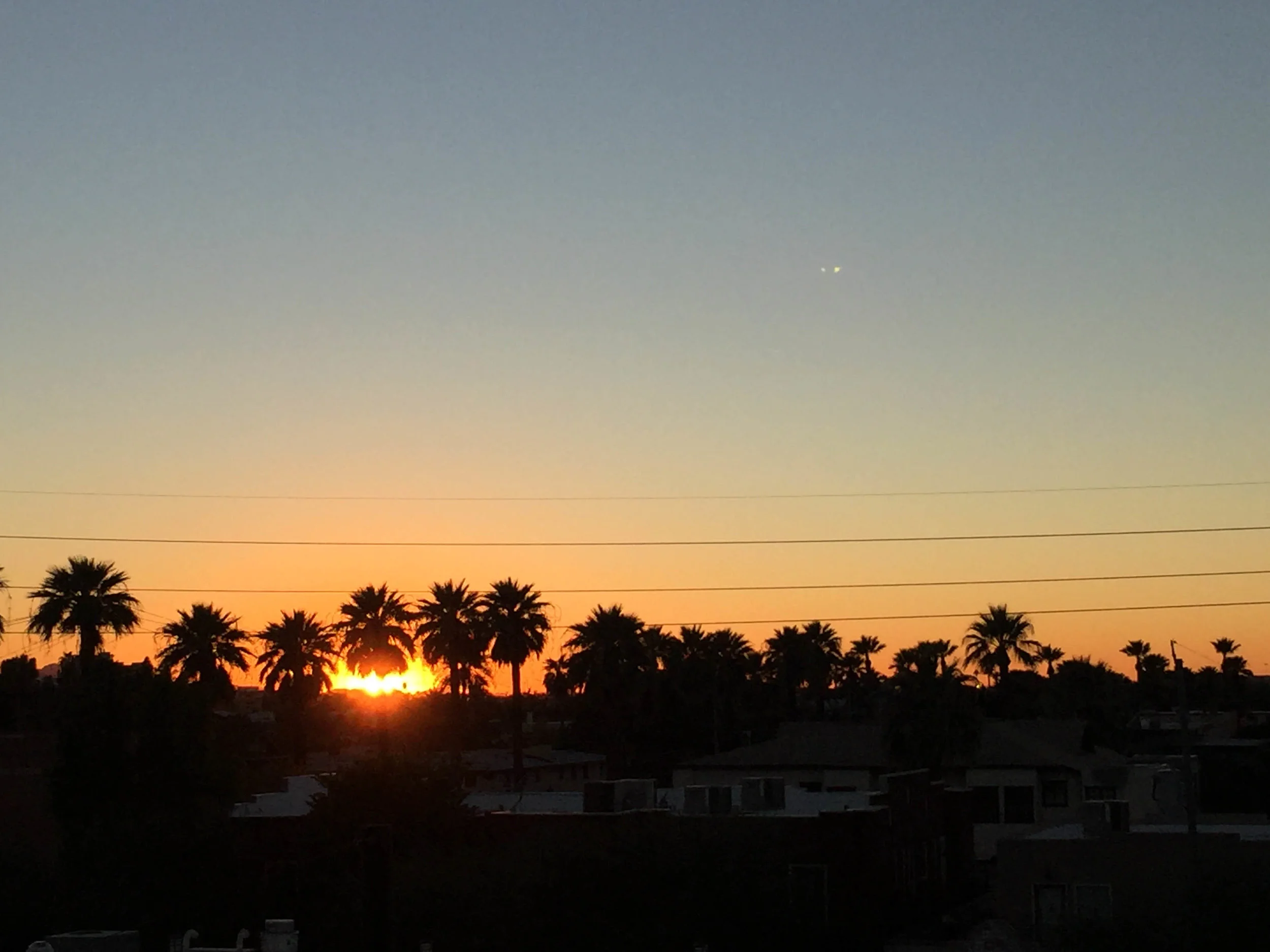  The sun sets behind Phoenix's ubiquitous palm trees. 