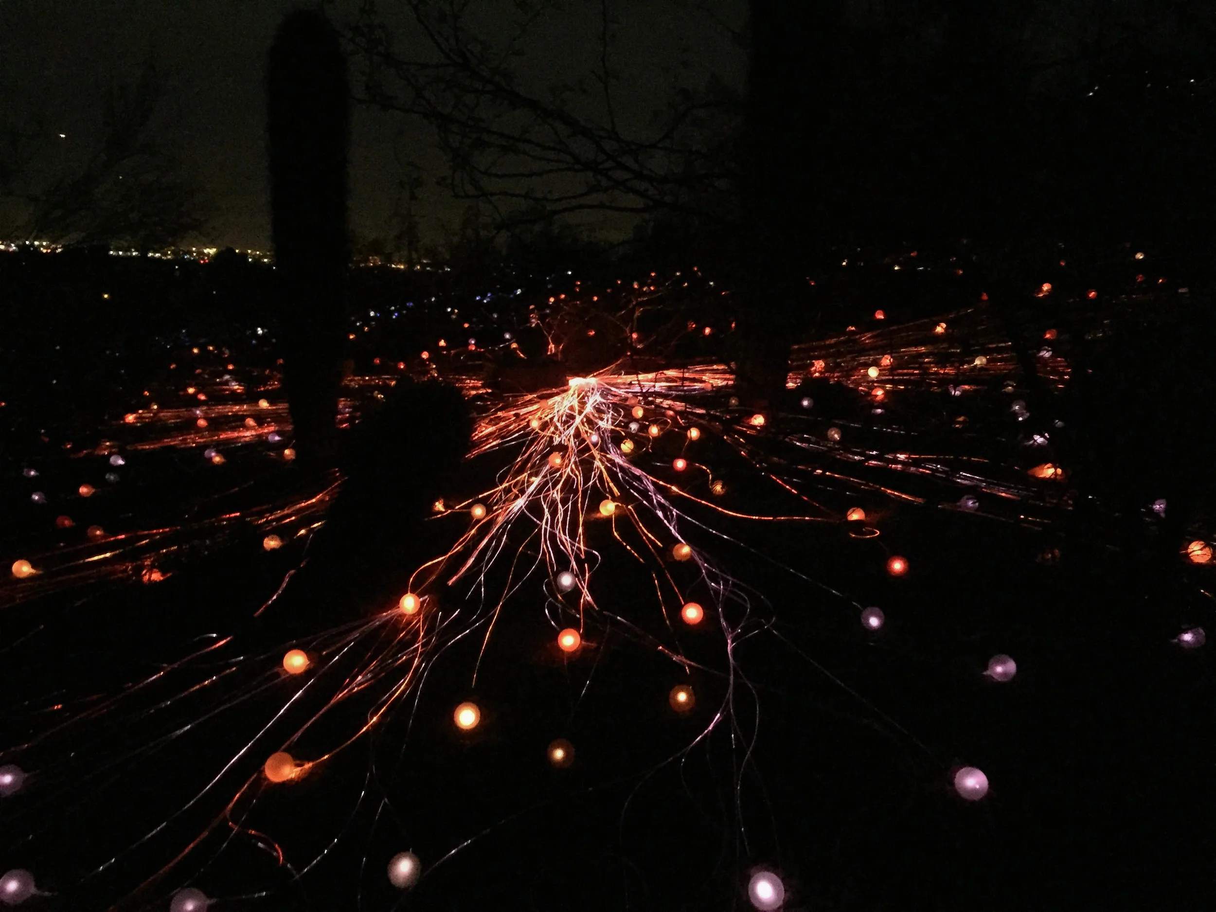  A portion of Bruce Munro's "Sonoran Light" exhibit at the Desert Botanical Garden.&nbsp; 