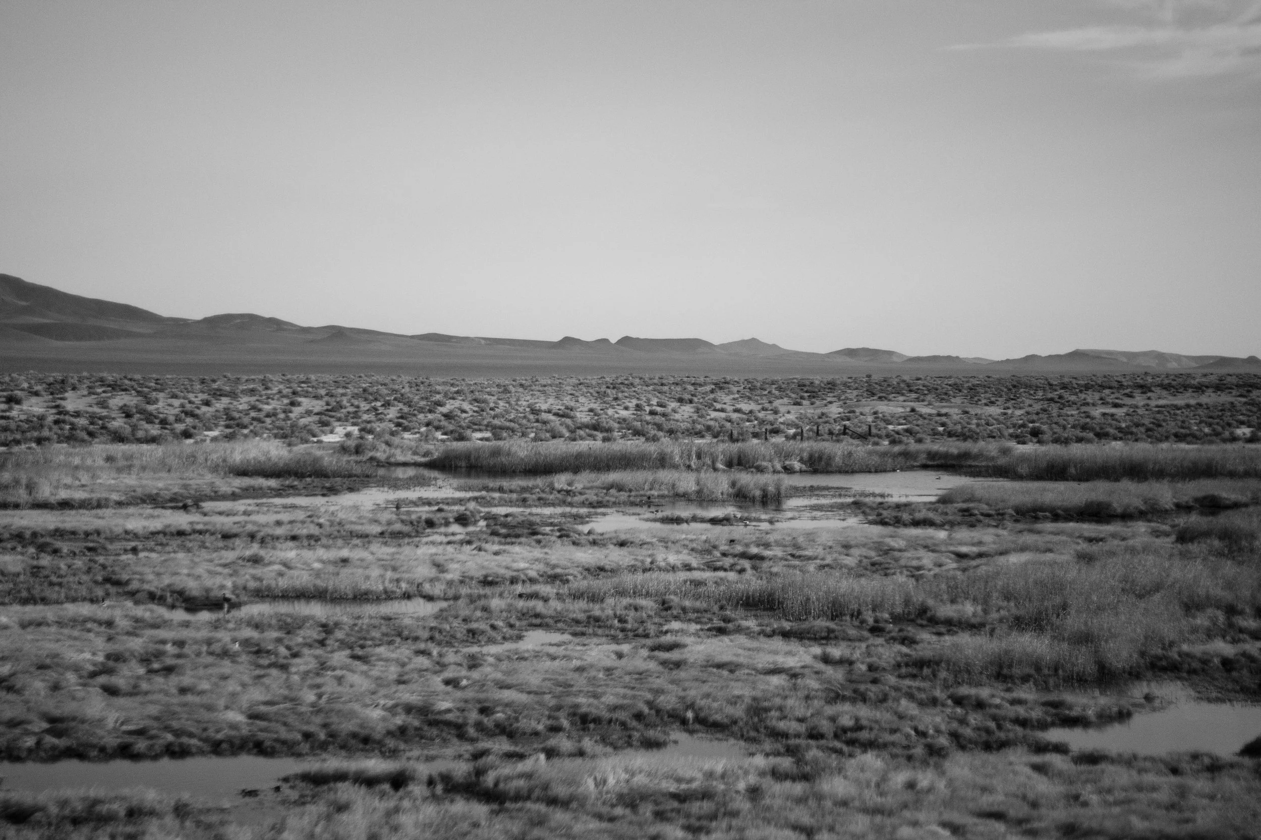  Nevada. 