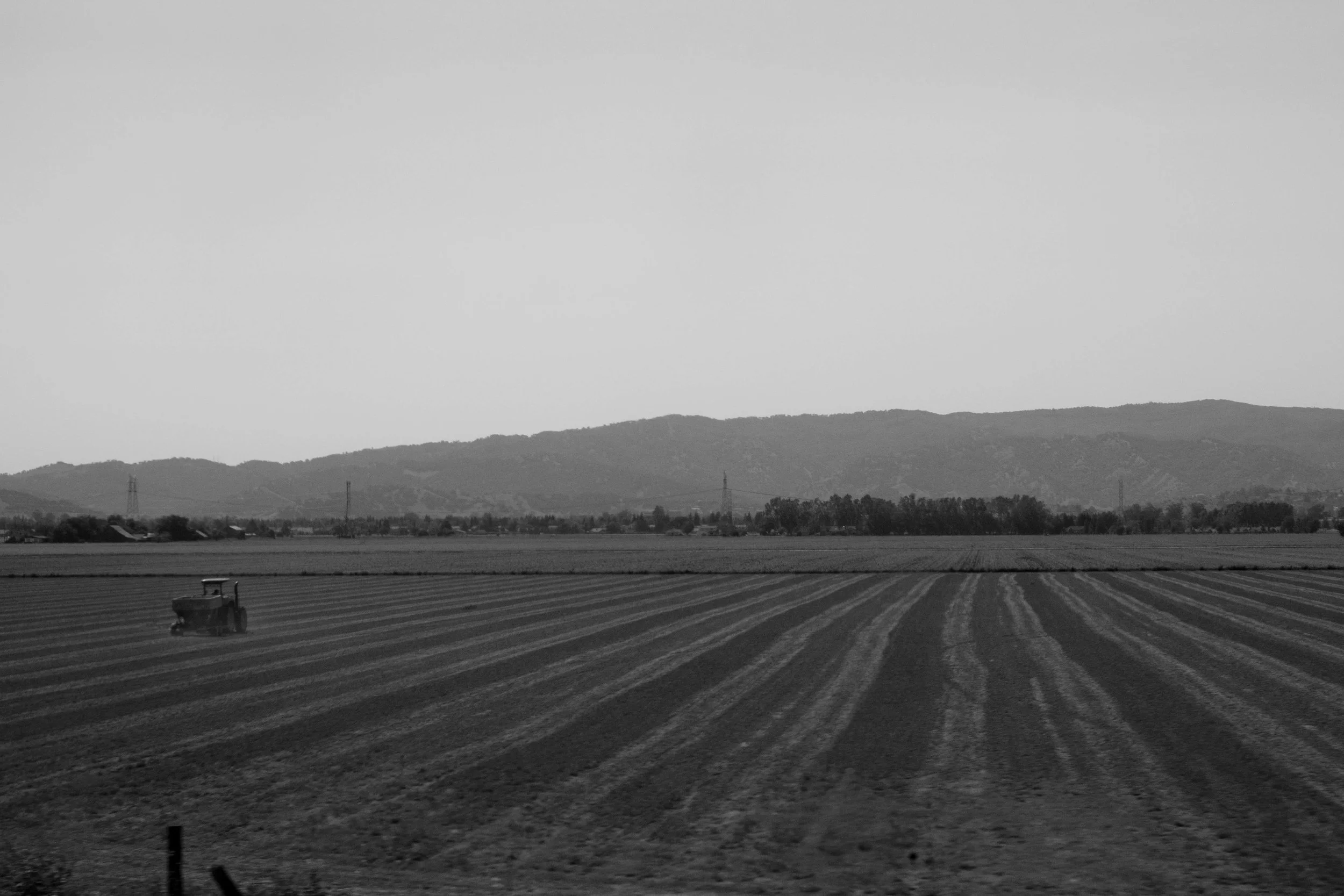  California. 