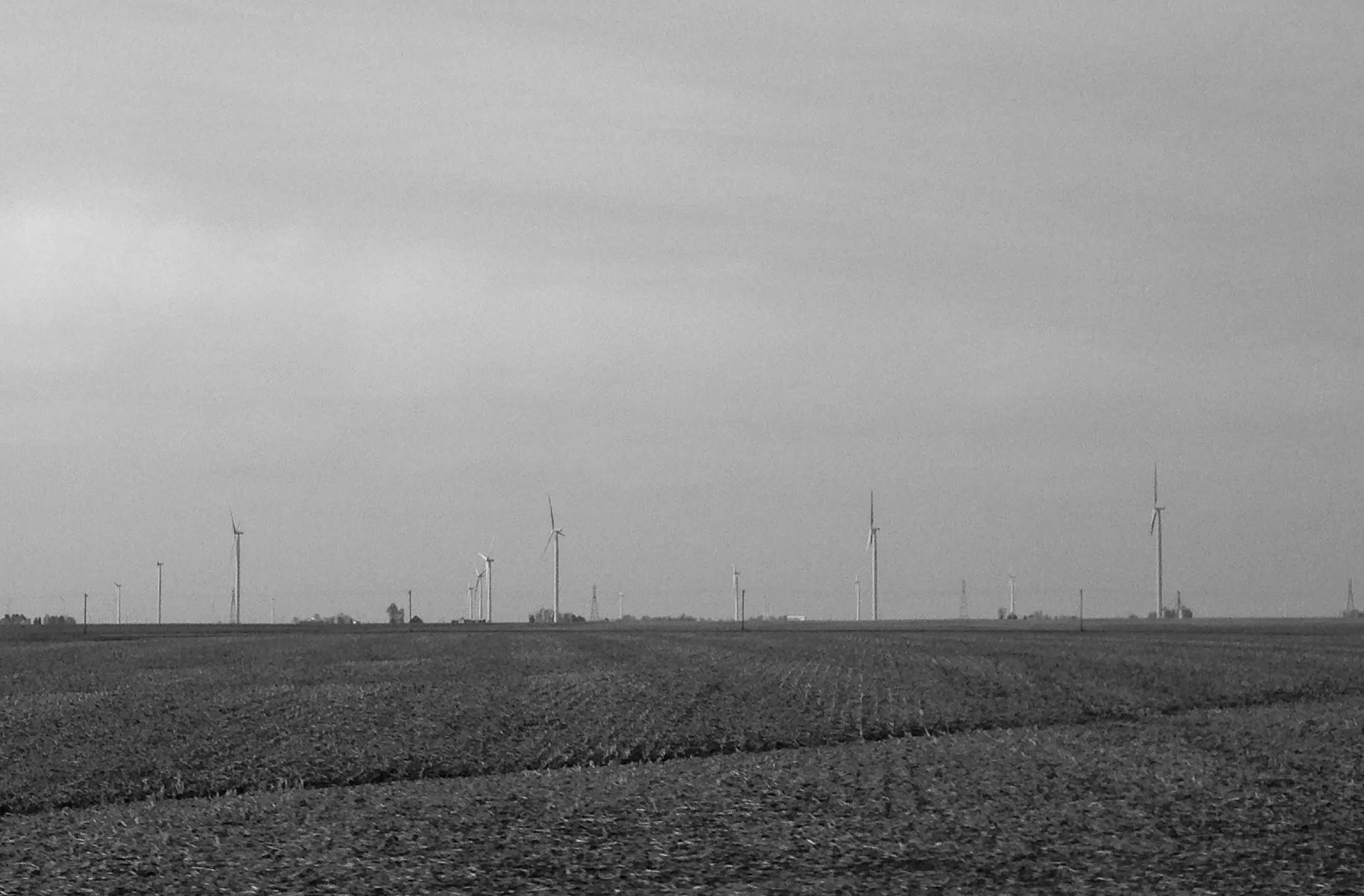  A wind farm in Oneida, Illinois. 