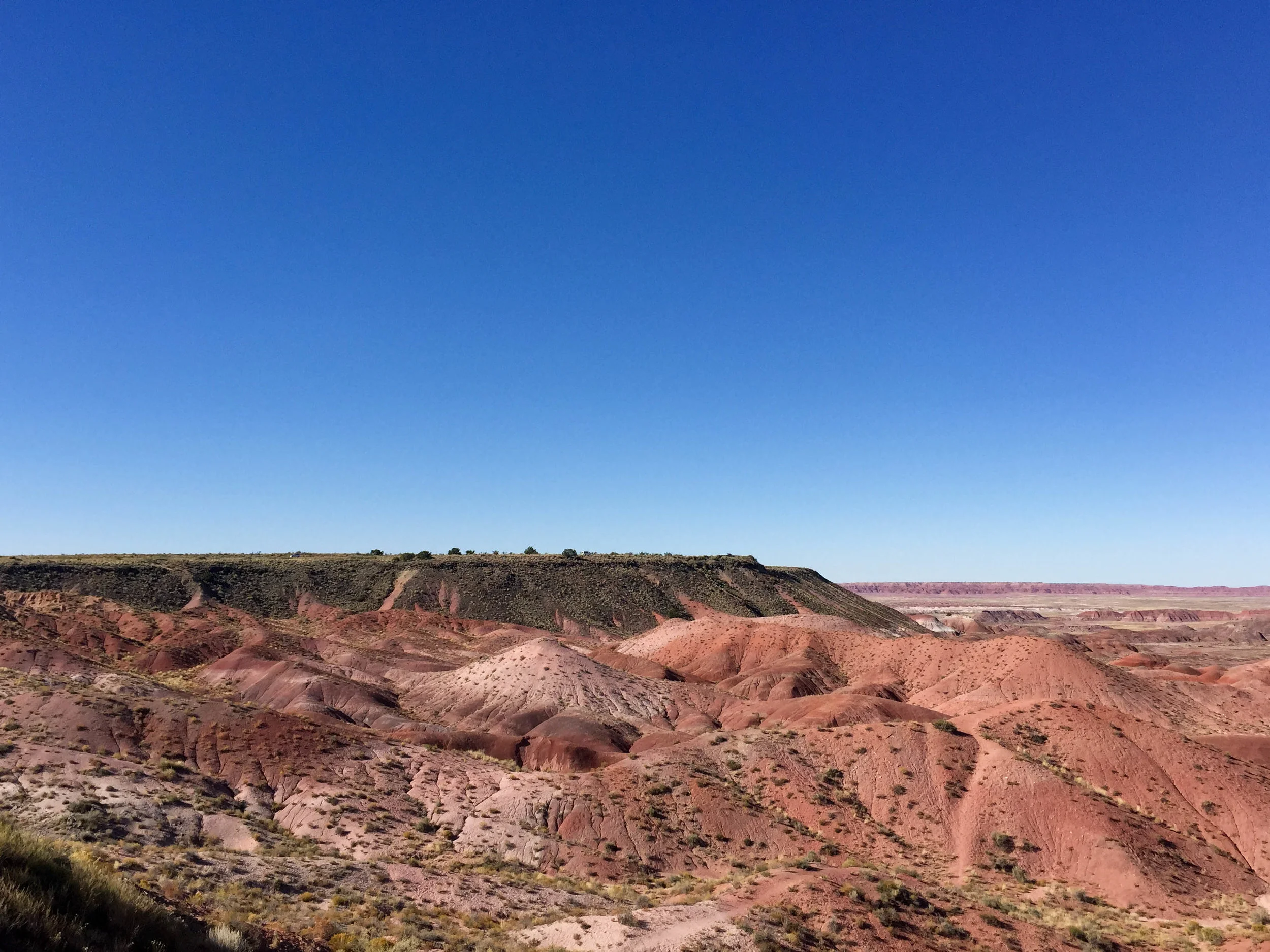 Petrified Forest National Park, Arizona. October 2015.