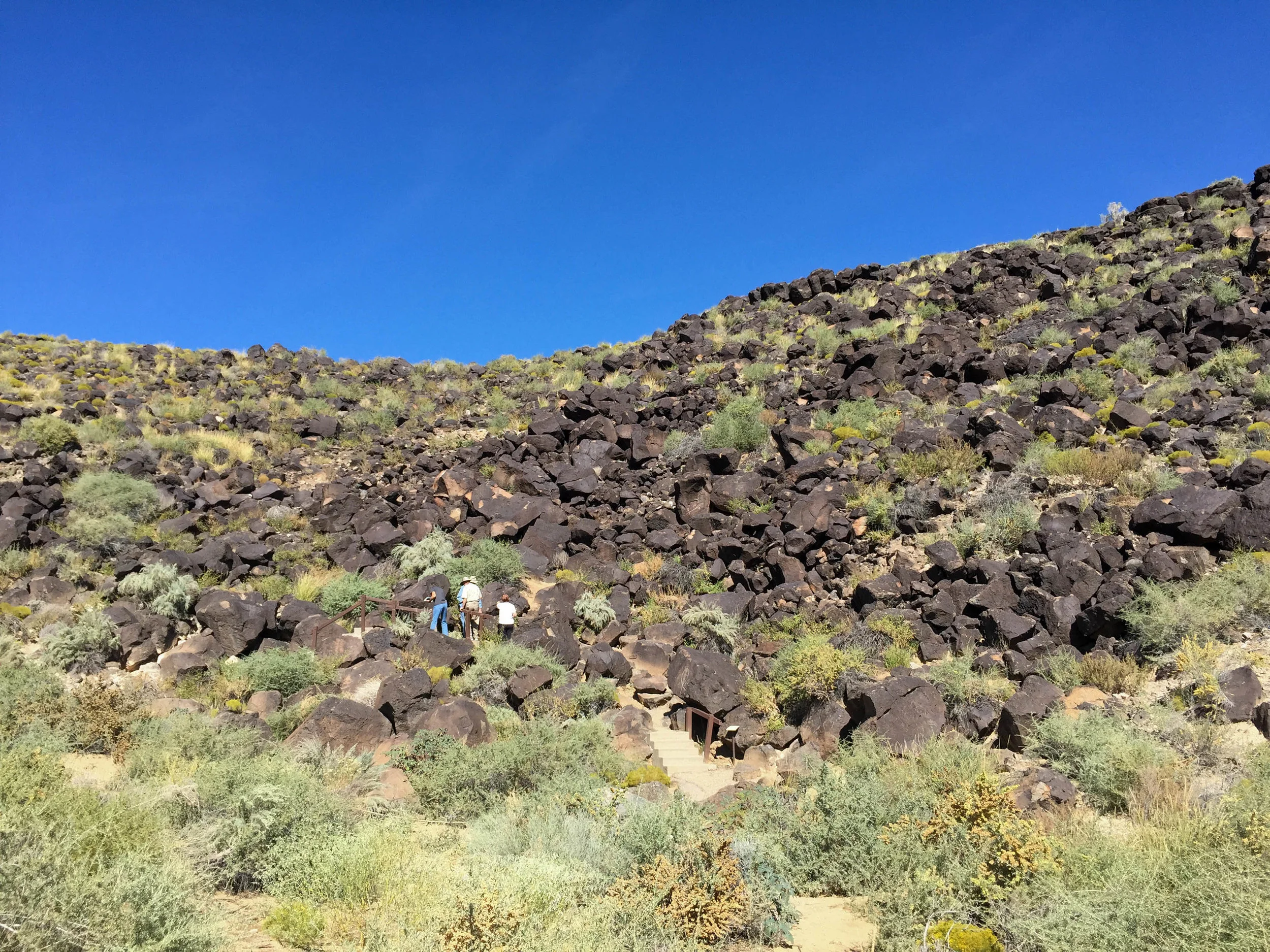  Boca Negra Canyon, Petroglyph National Monument, New Mexico. October 2015. 