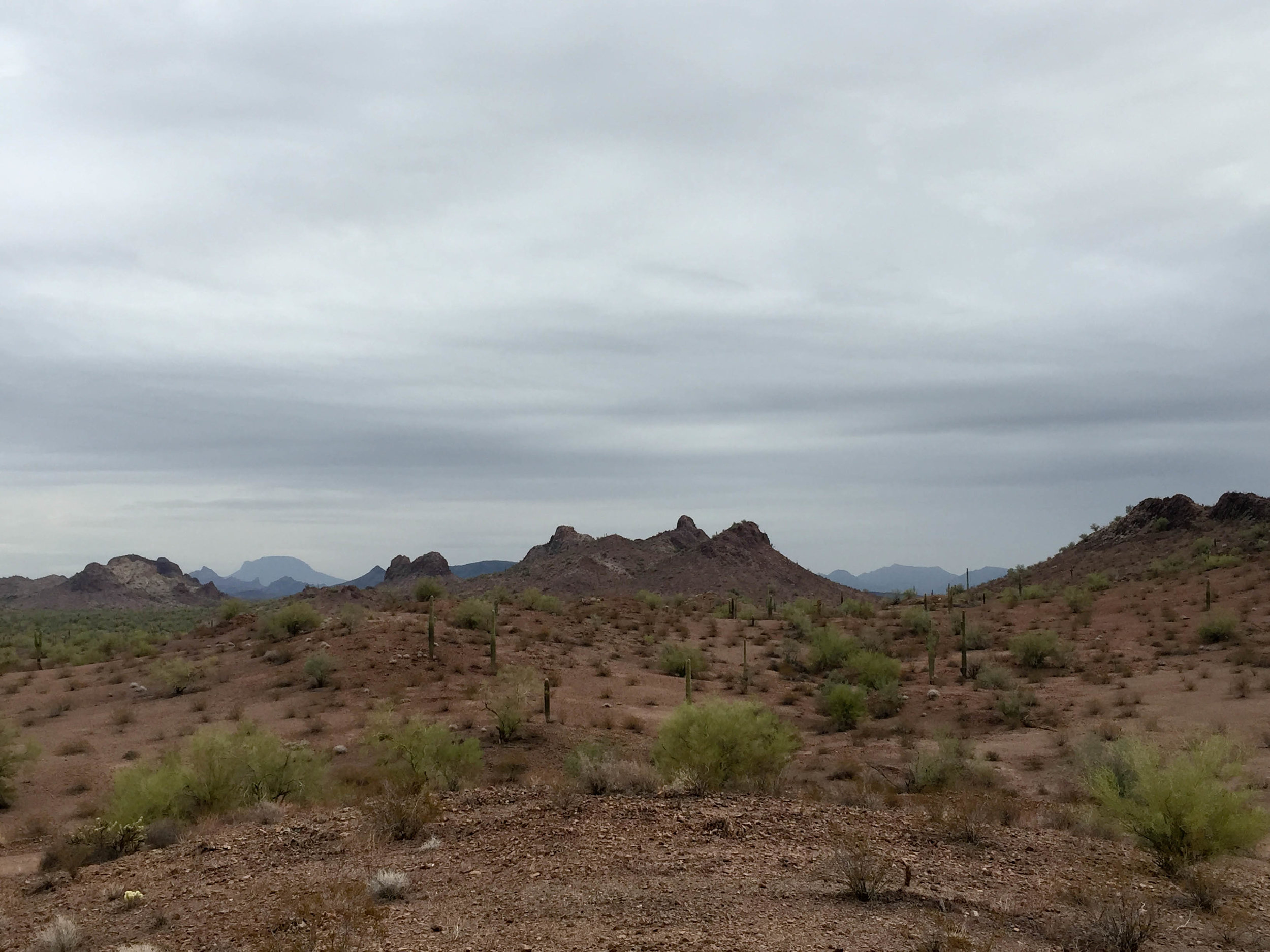  Agua Caliente road, Sonoran Desert, Arizona. November 2015. 