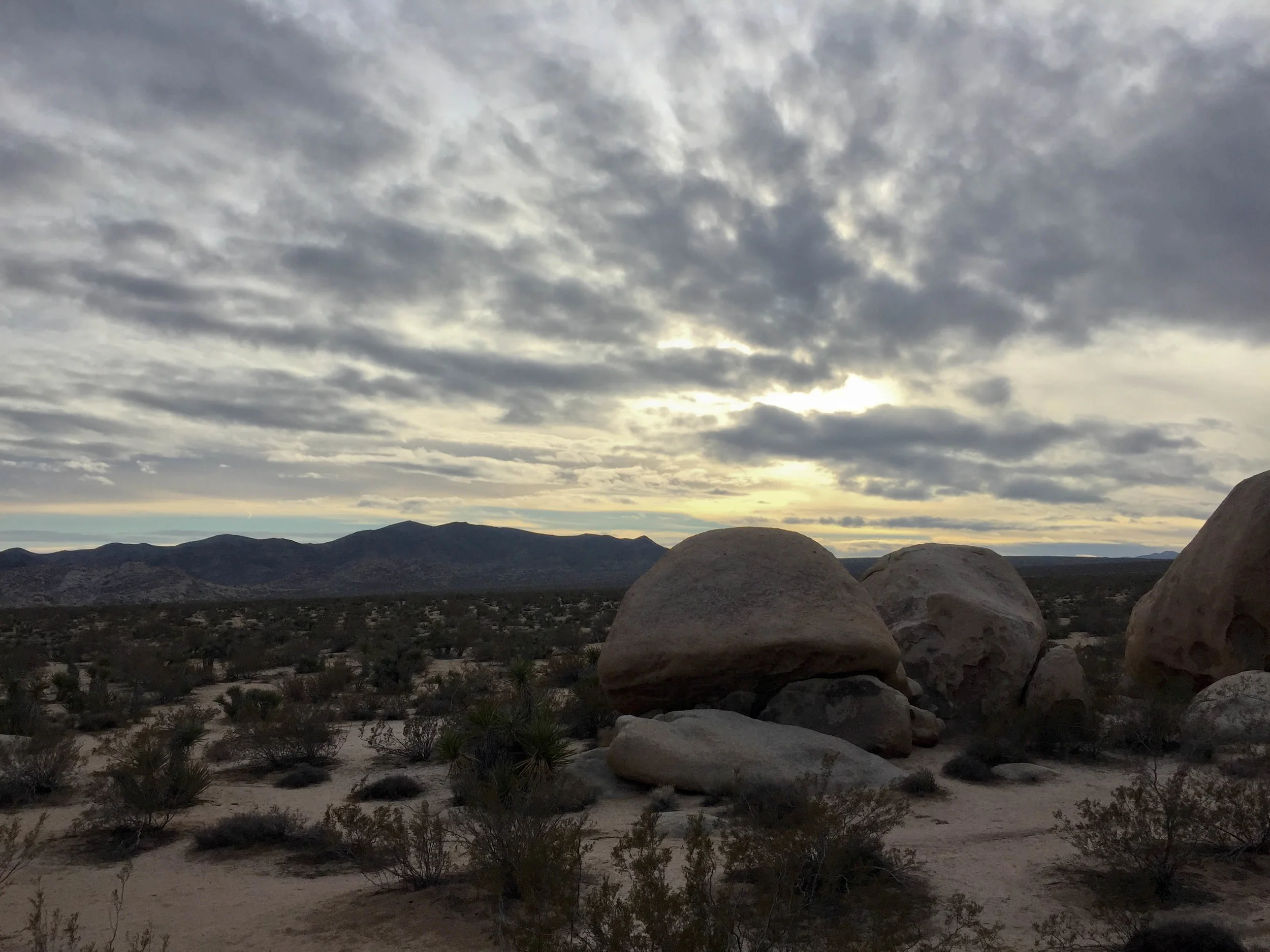Joshua Tree National Park, California. January 2016.