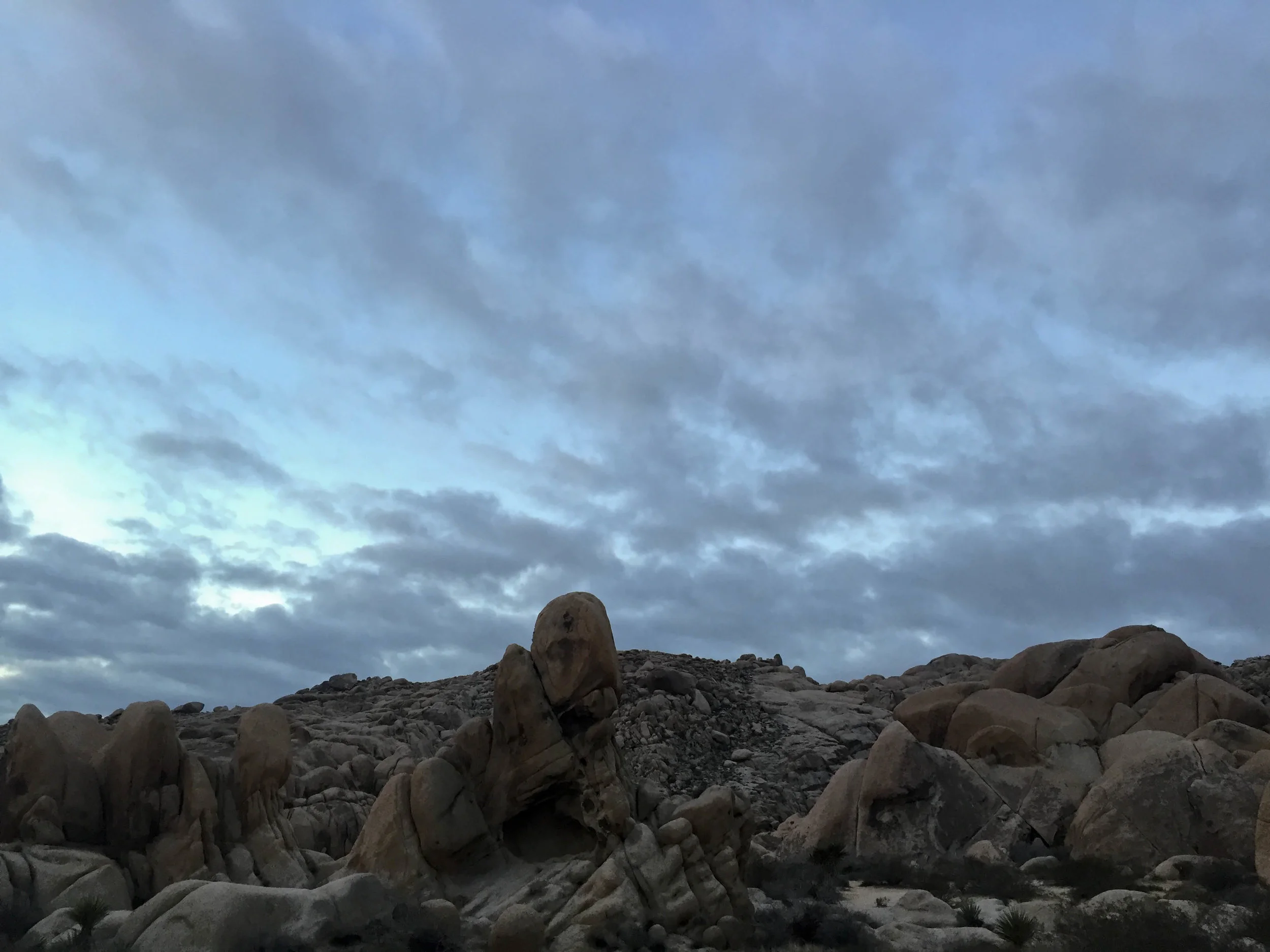  Joshua Tree National Park, California. January 2016. 