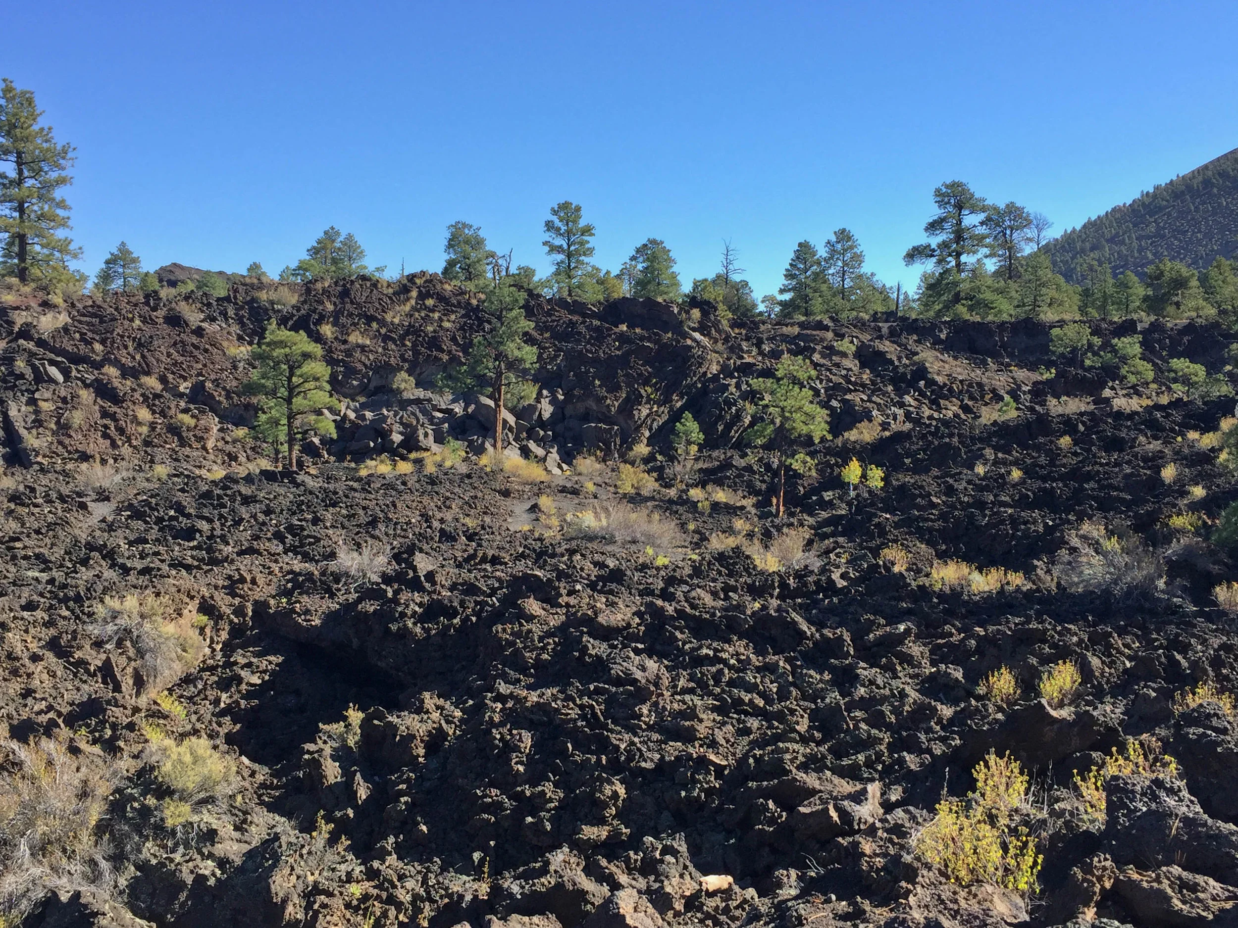  Sunset Crater cinder cone near Flagstaff, Arizona. October 2016. 
