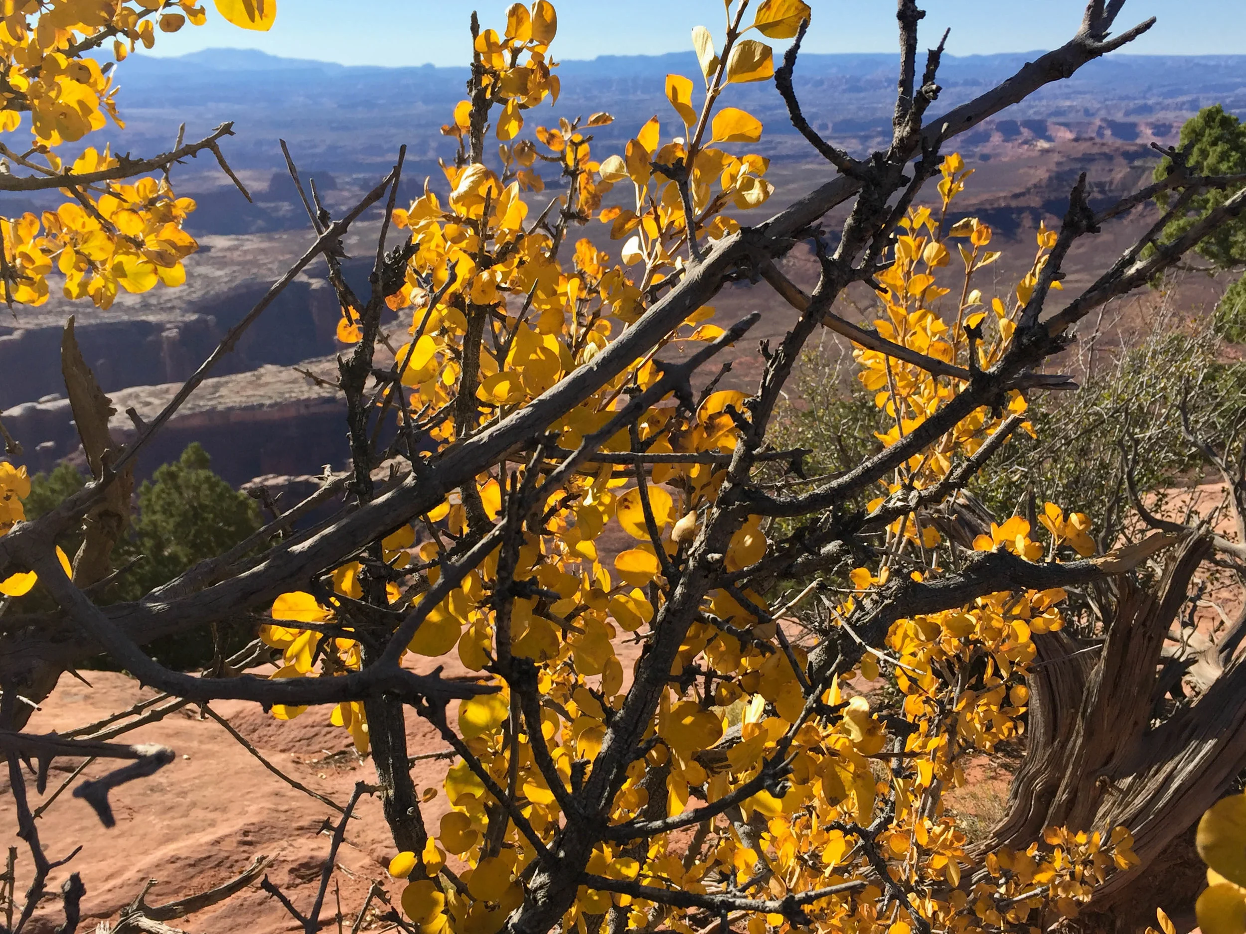  Canyonlands National Park, Utah. October 2016. 
