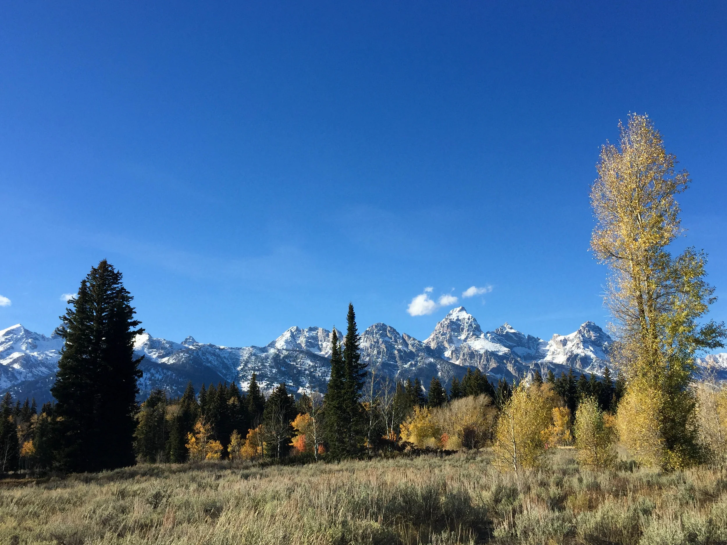  Grand Teton National Park, Wyoming. October 2016. 