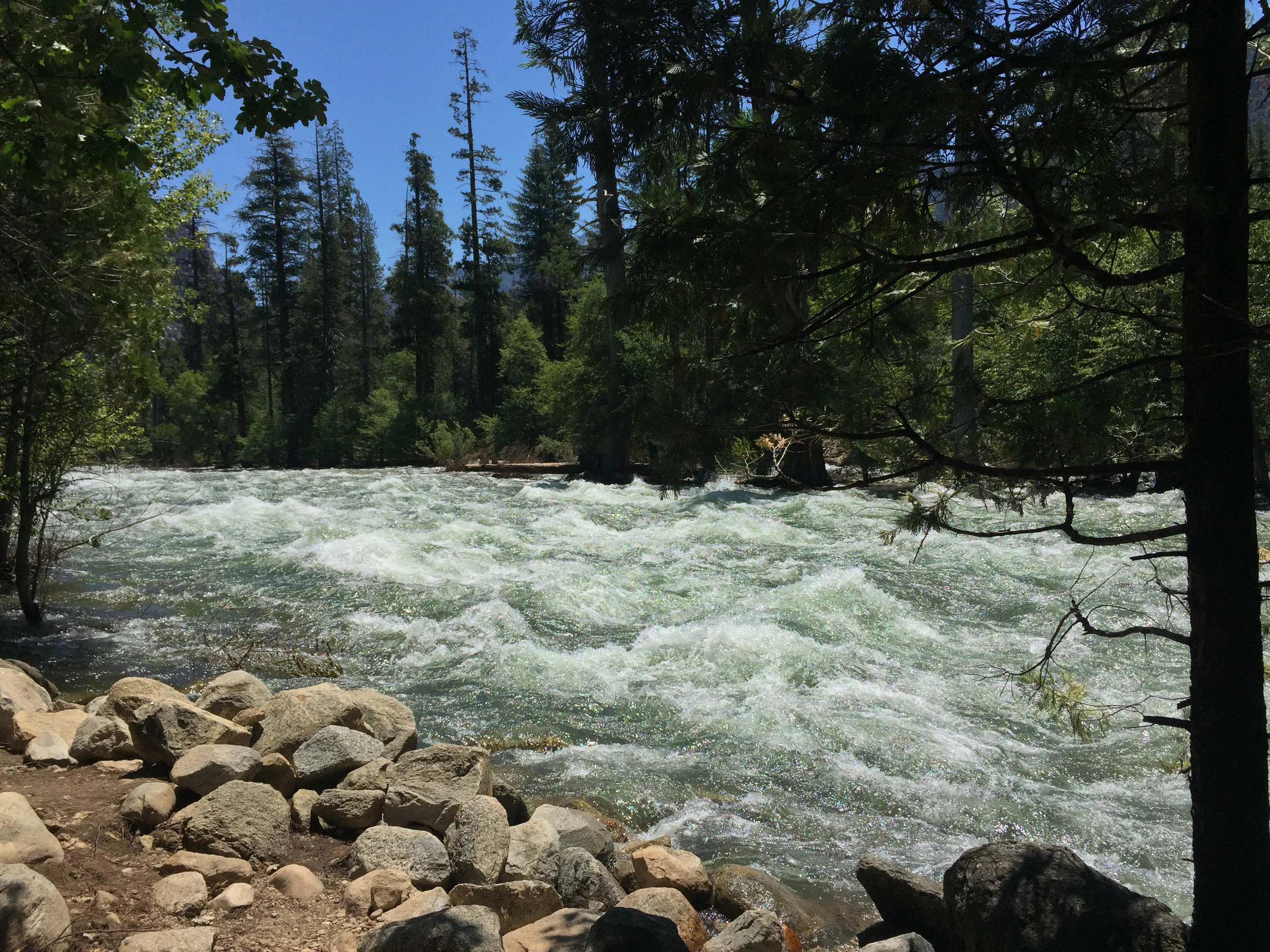A rushing river at Kings Canyon National Park, California. June 2017.
