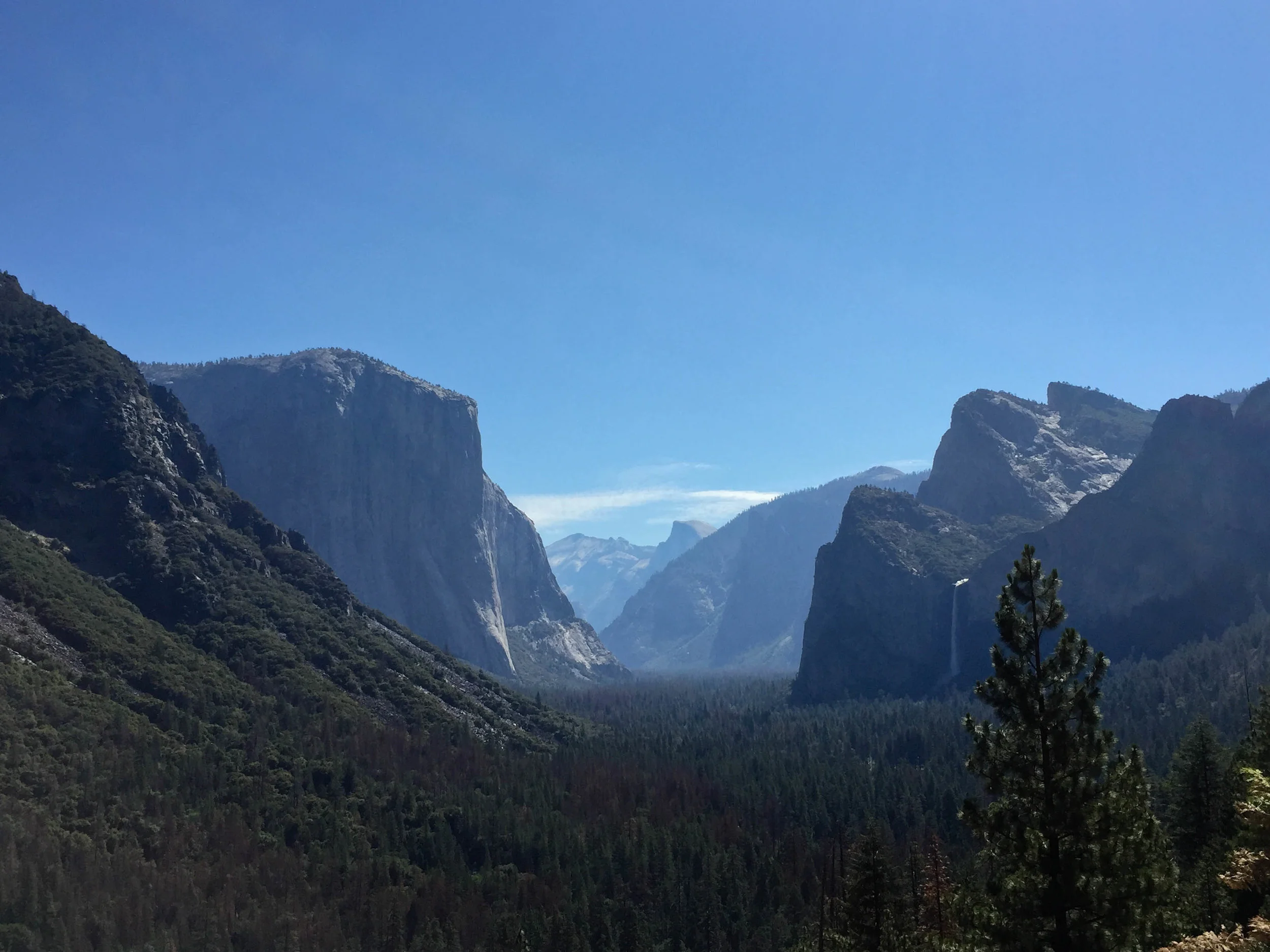  Yosemite National Park, California. July 2017. 