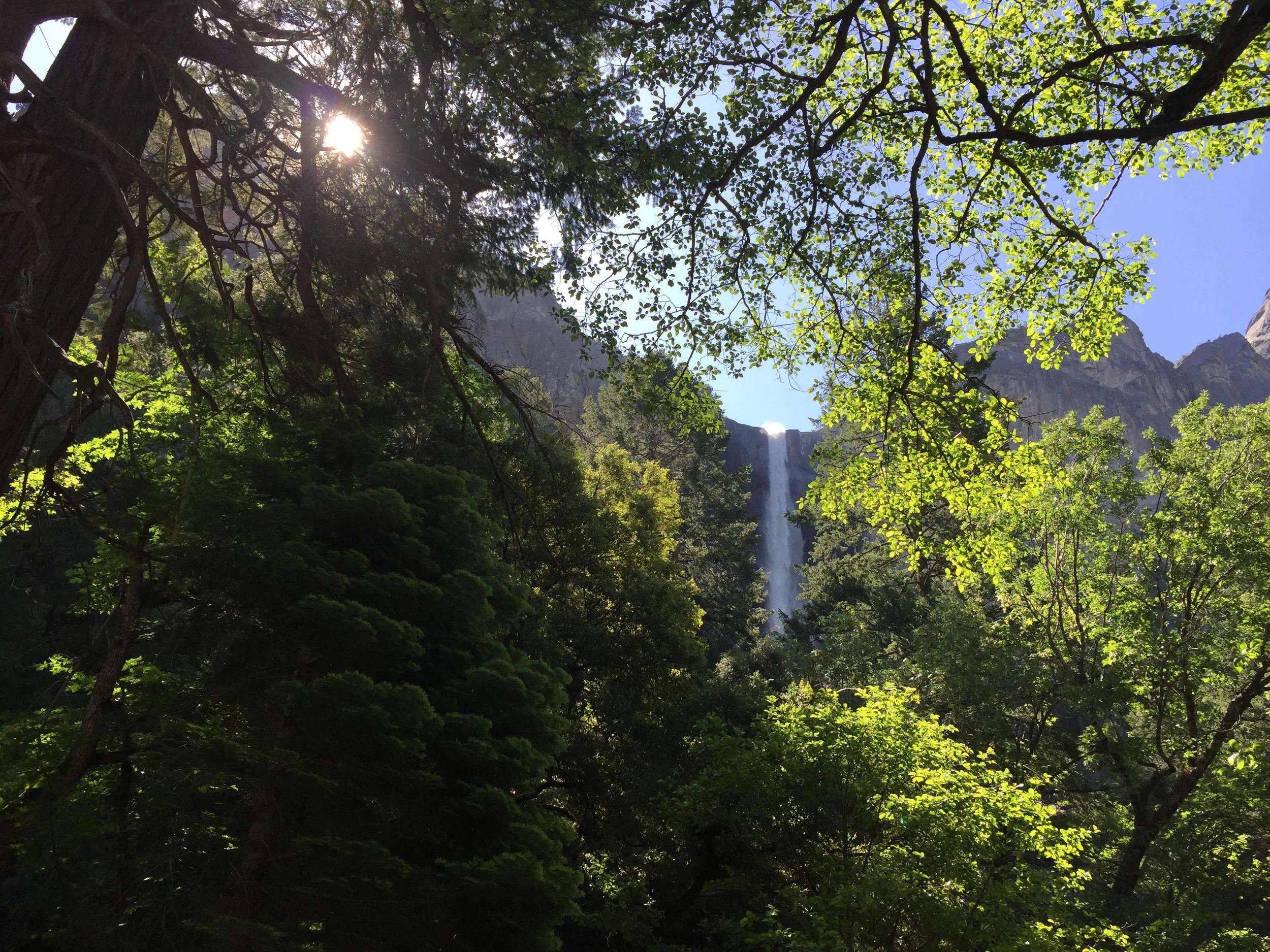 Yosemite National Park, California. July 2017.