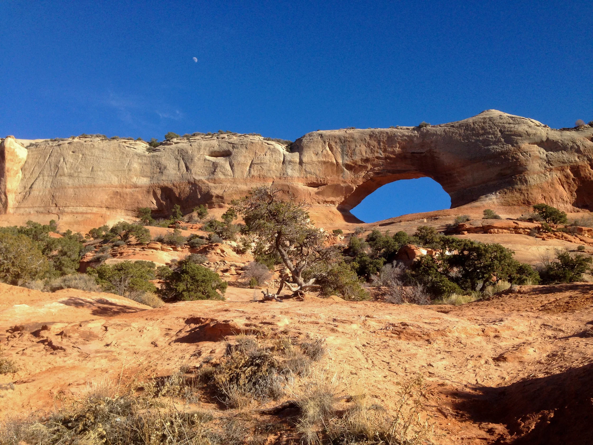 A roadside arch near Moab, Utah. January 2015.