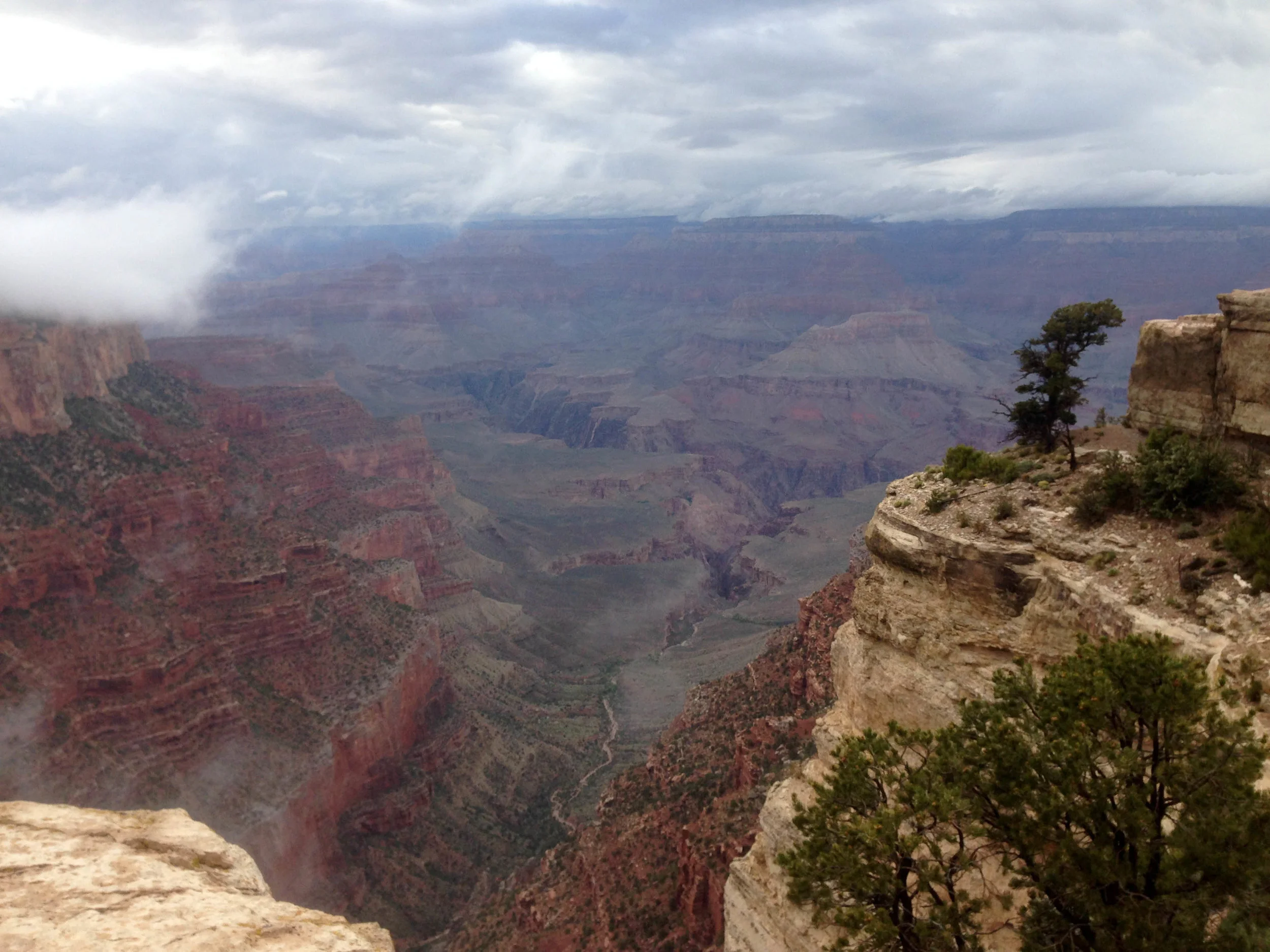  Grand Canyon, south rim. Summer 2015. 