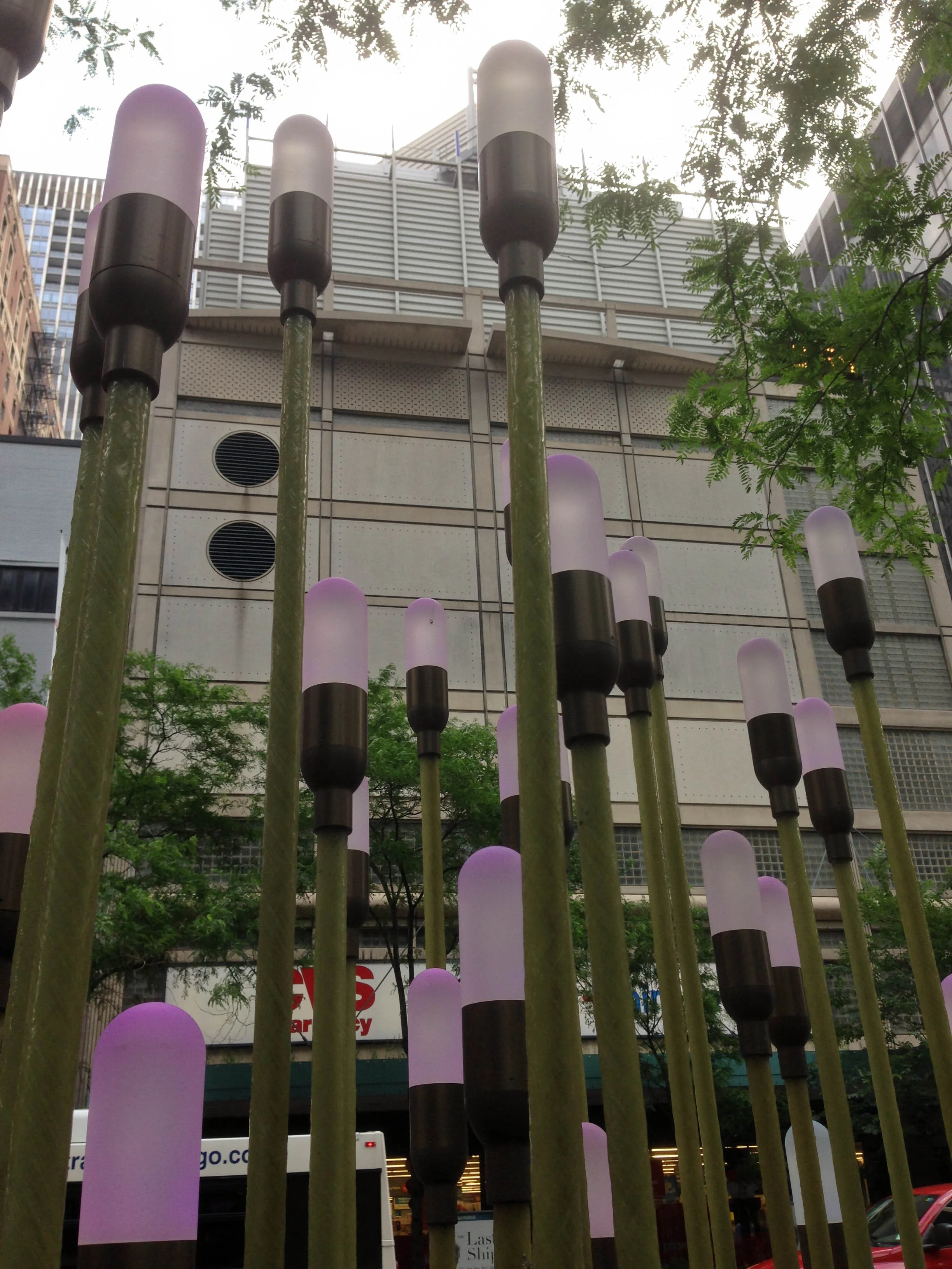 2014-06-20 15.55.16.jpg