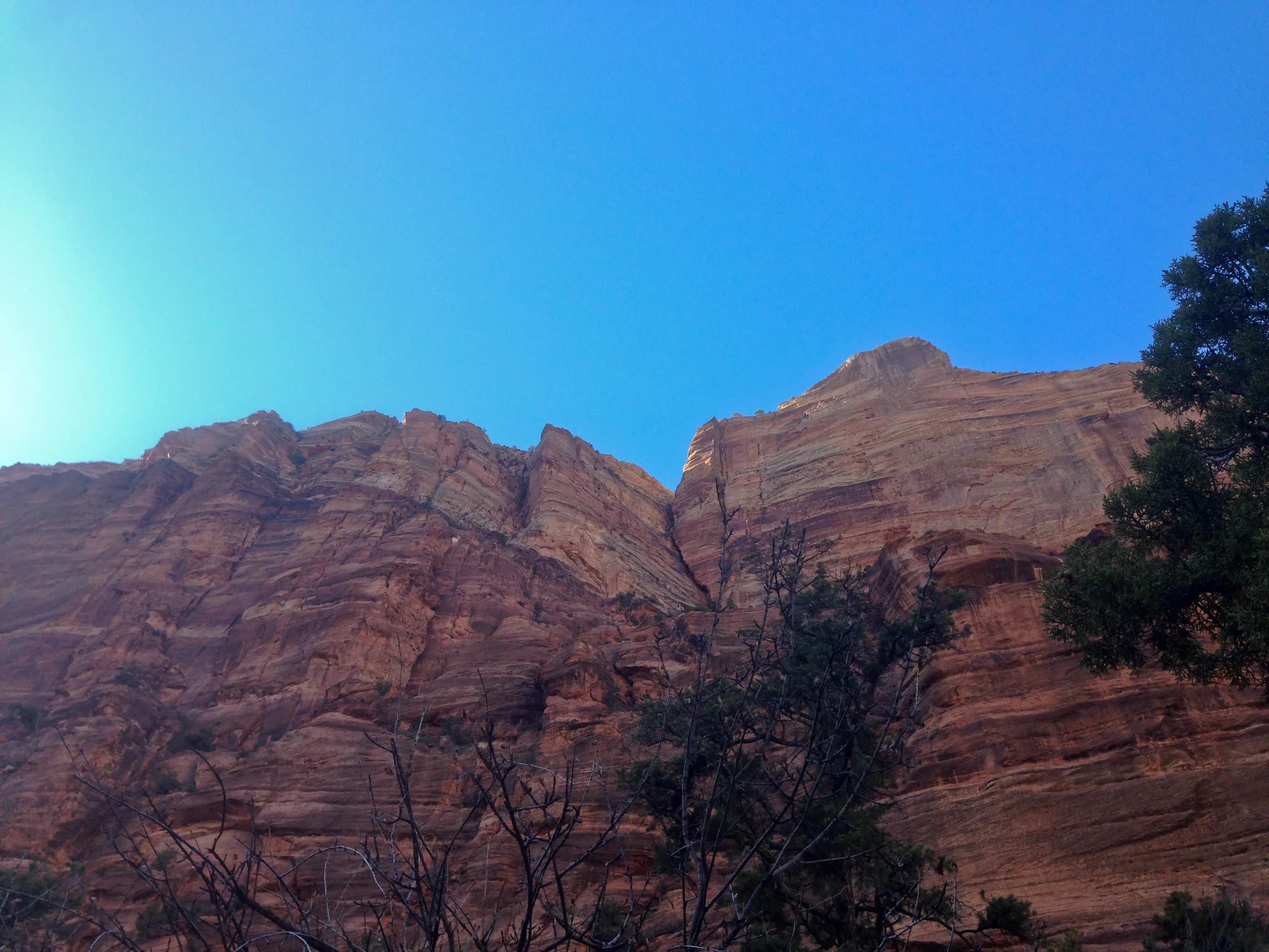 2015-03-07 15.43.55.jpg