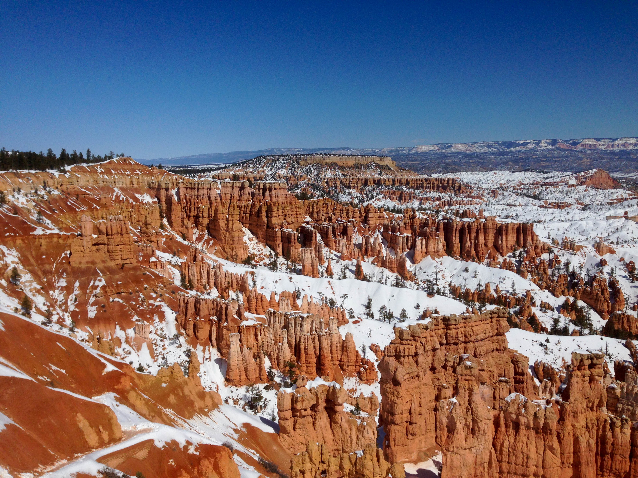 2015-03-08 13.41.51.jpg