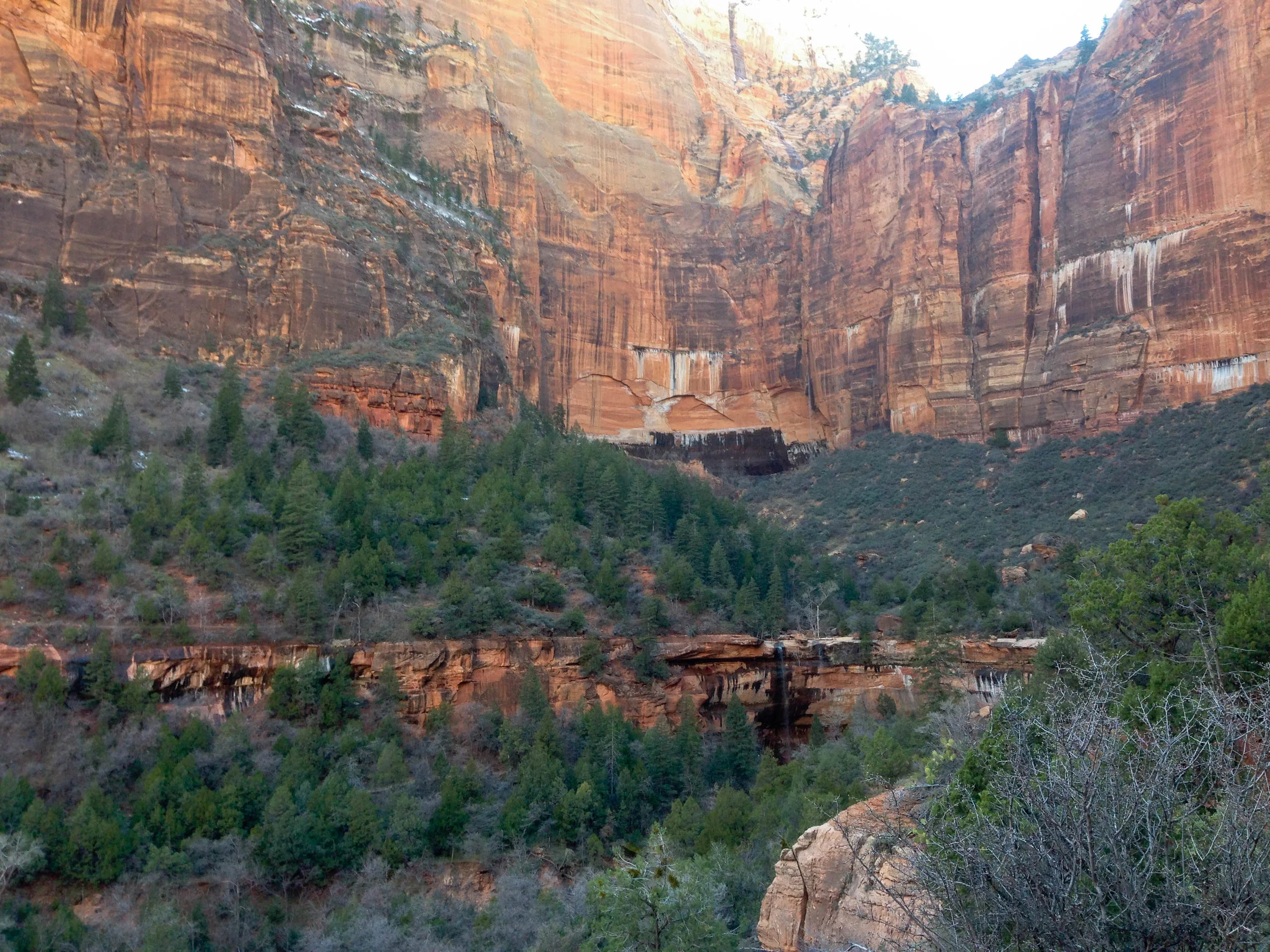 2015-03-07 15.53.49.jpg