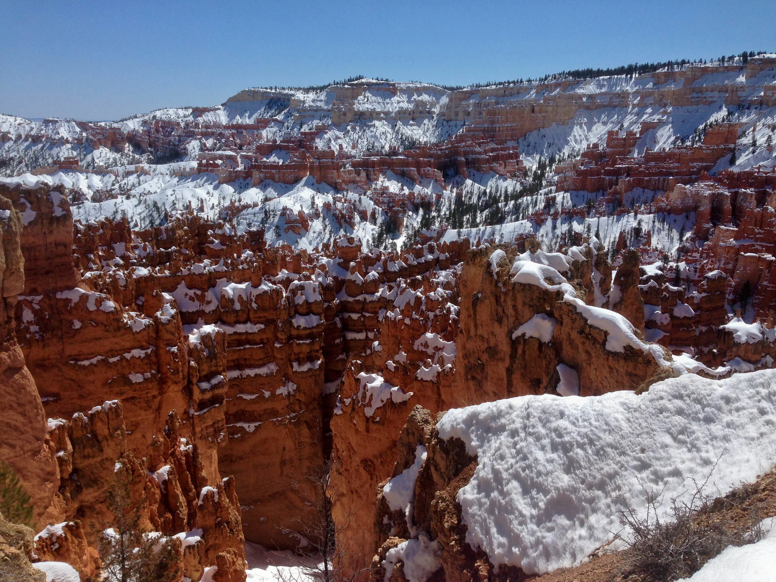 2015-03-08 13.40.17.jpg