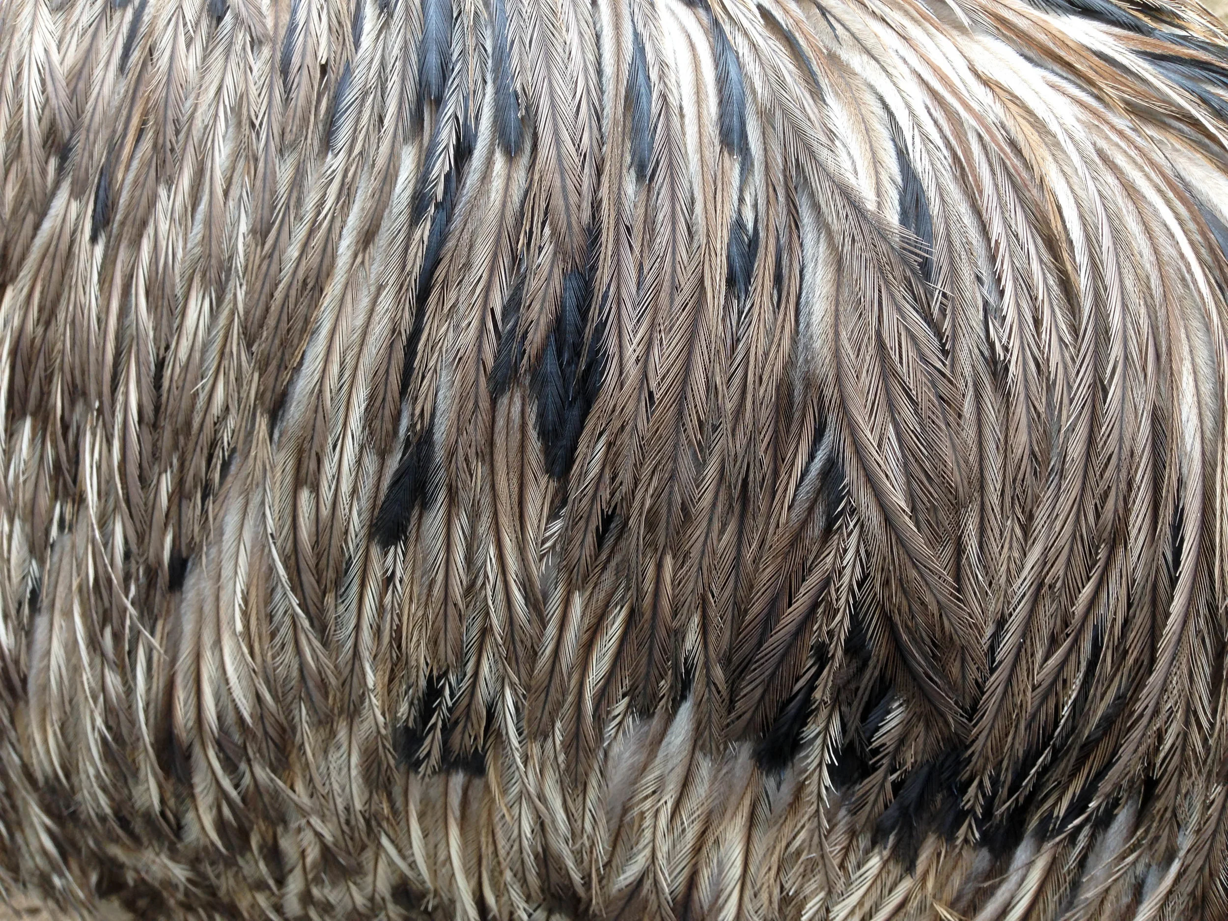 2014-08-23 16.42.56.jpg