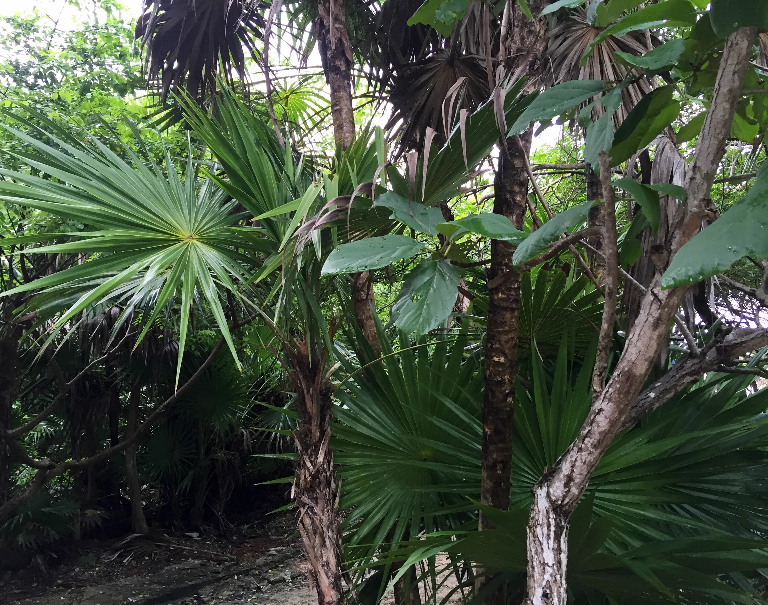 2015-12-04 16.30.35.jpg