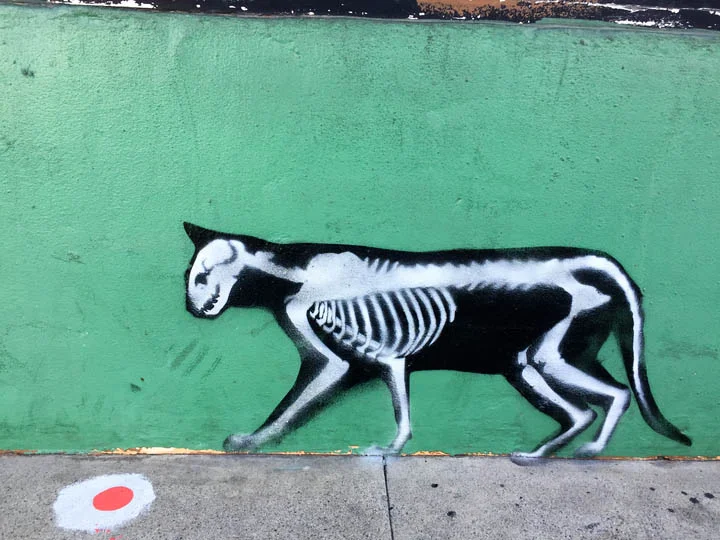 A skeletal cat painted on the wall outside Necromance.
