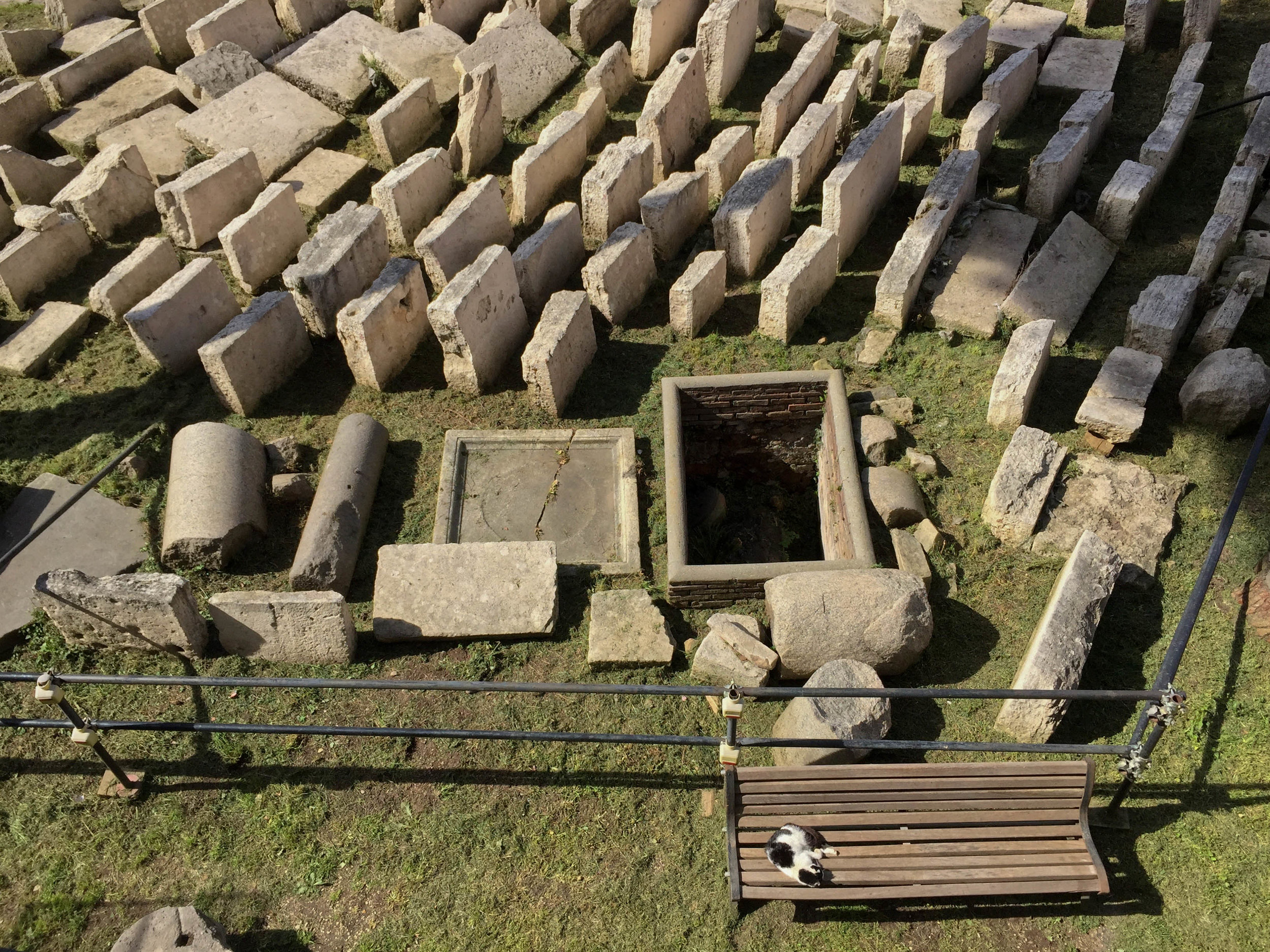 A cat suns itself on a bench at the Torre Argentina, which contains the ruins of Pompey's Theatre, in Rome, March 2017.