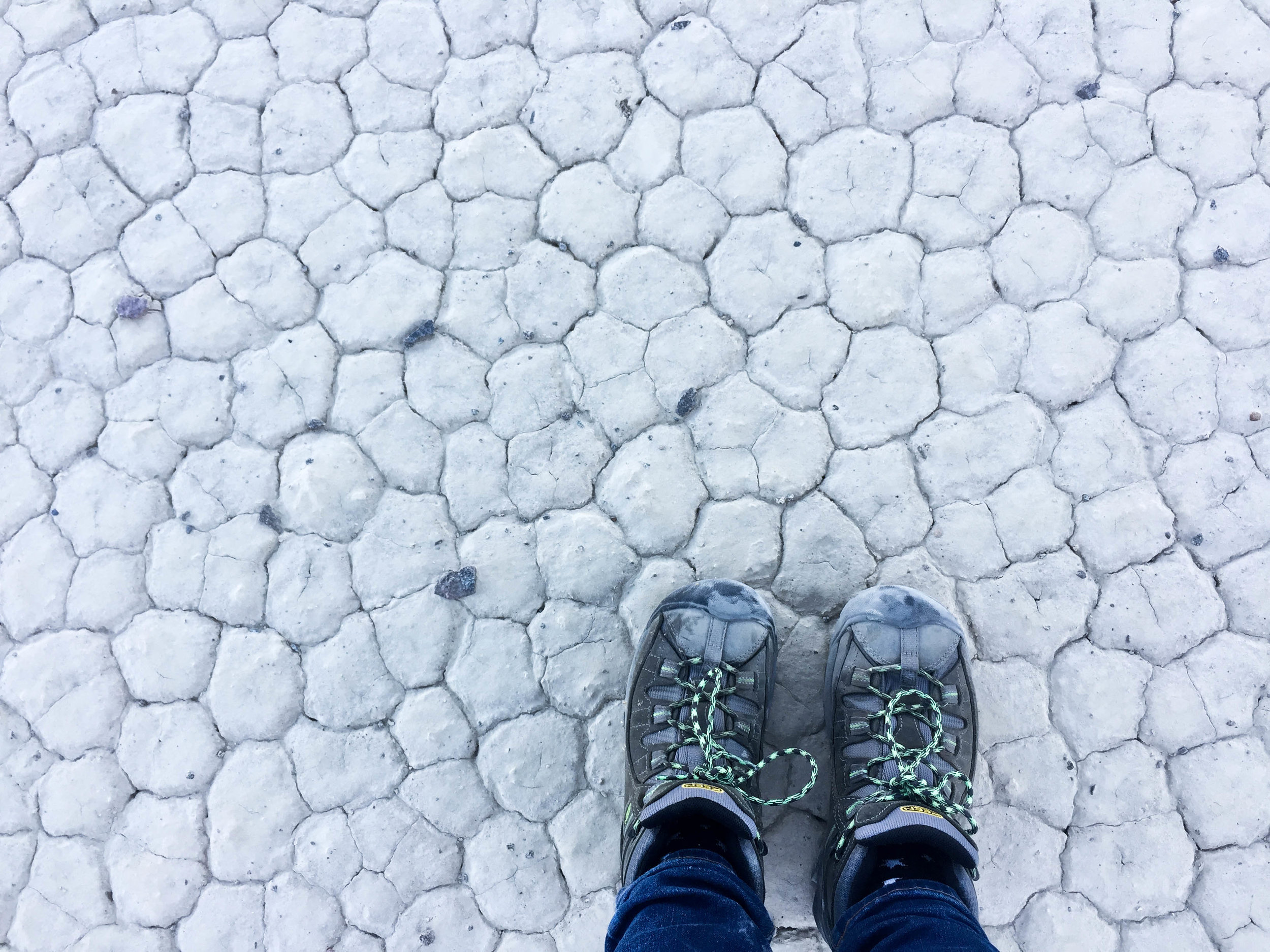 Racetrack Playa, 2017