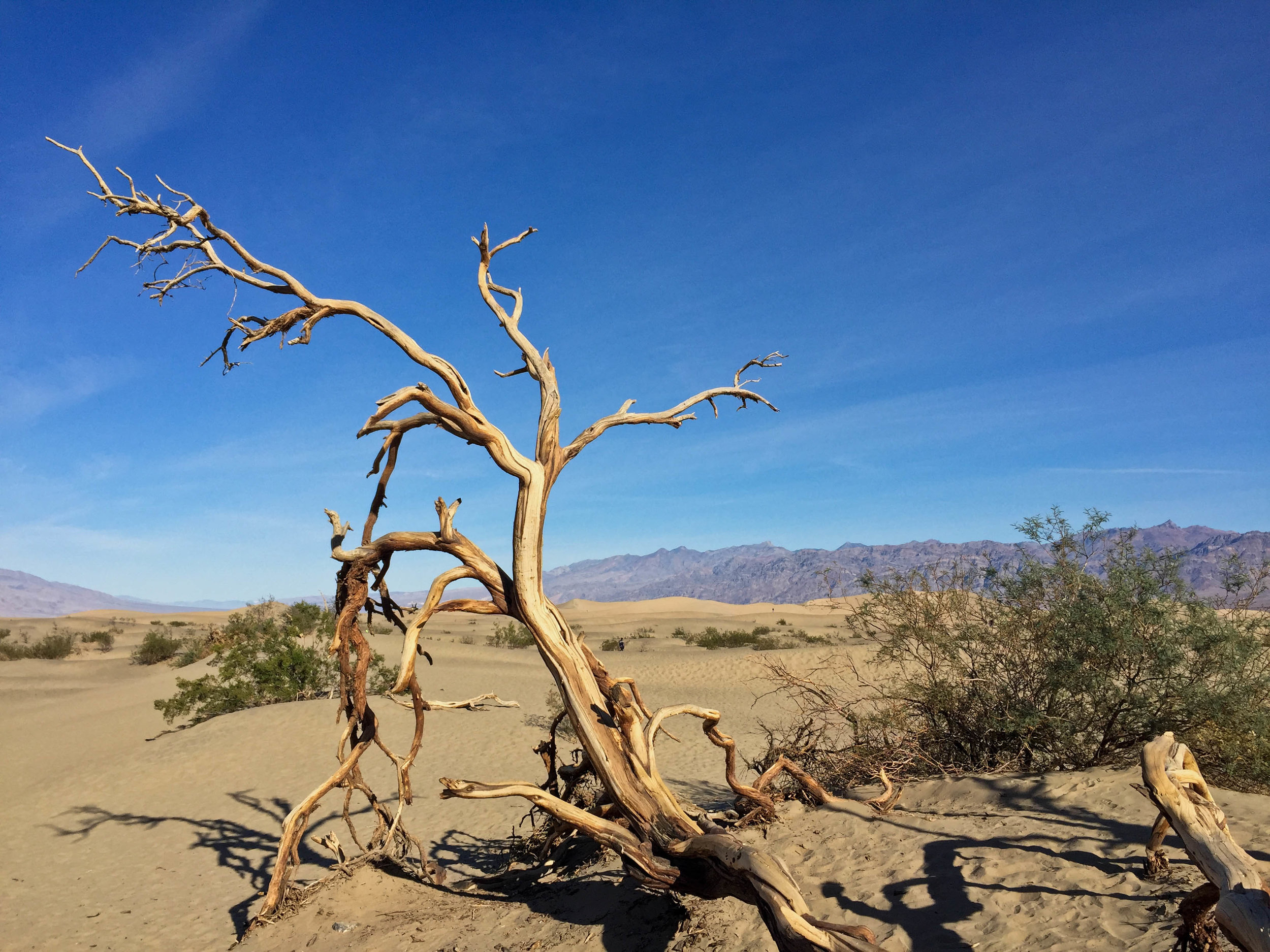 Mesquite Flat Sand Dunes, 2017.