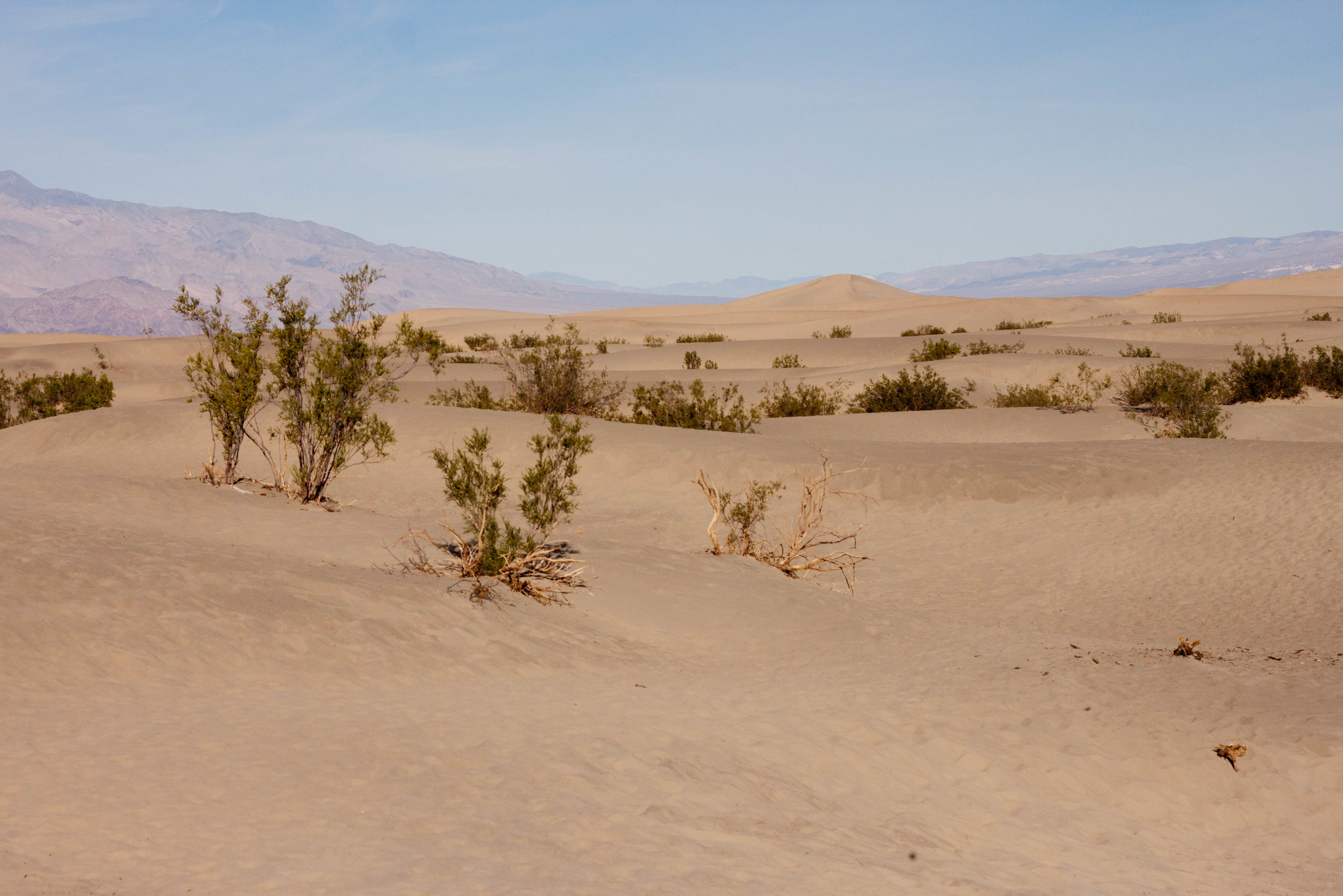 Mesquite Flat Sand Dunes, 2017.