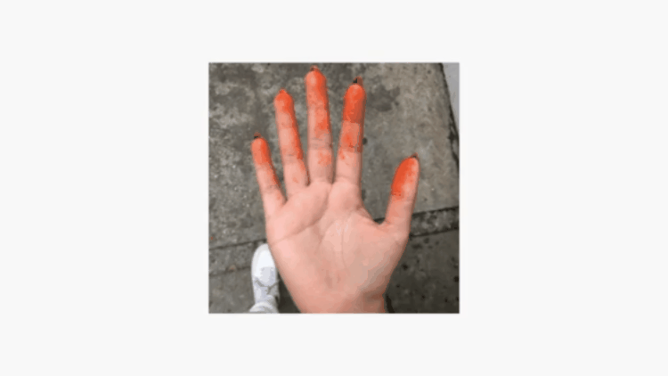 giphy.gif