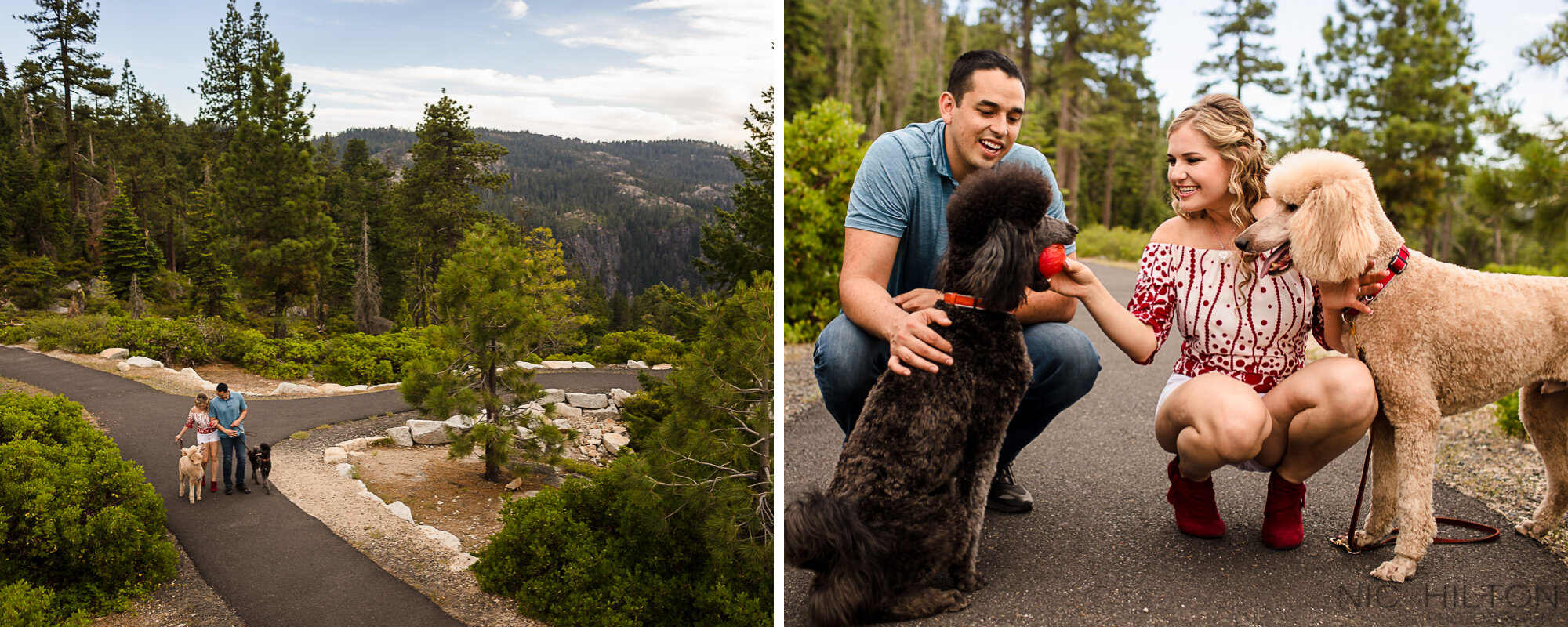 Engagement-Photos-with-dogs-Sonora-CA.jpg