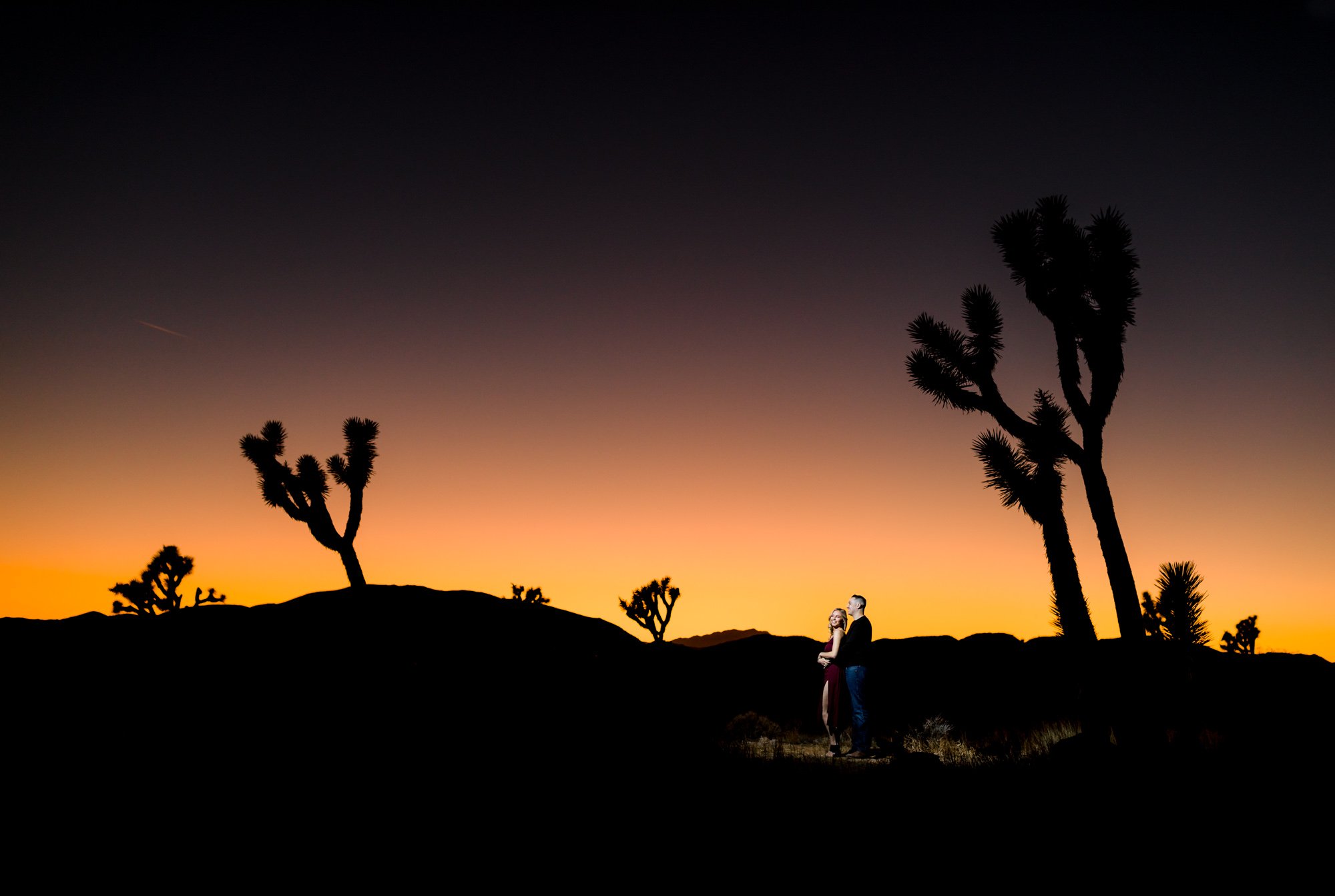 Joshua-Tree-National-Park-Engagement-Photos.jpg