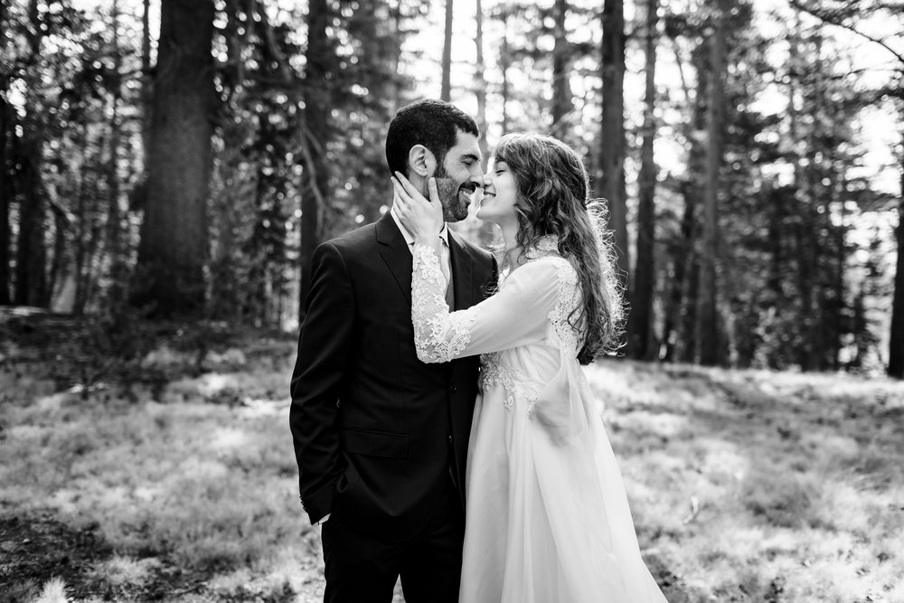 Yosemite-Wedding-Bride-Groom.jpg
