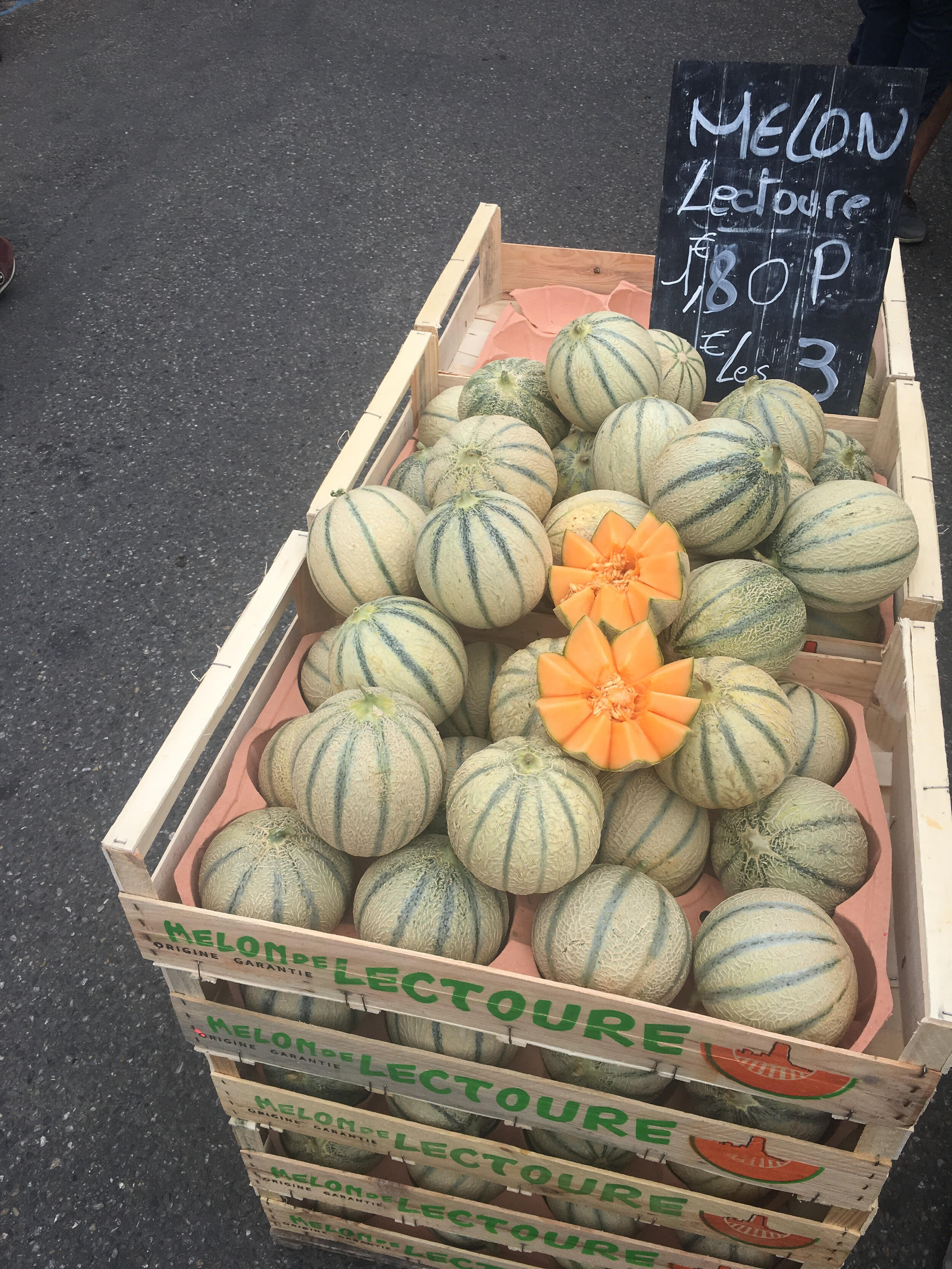 Melon Lectoure.jpg
