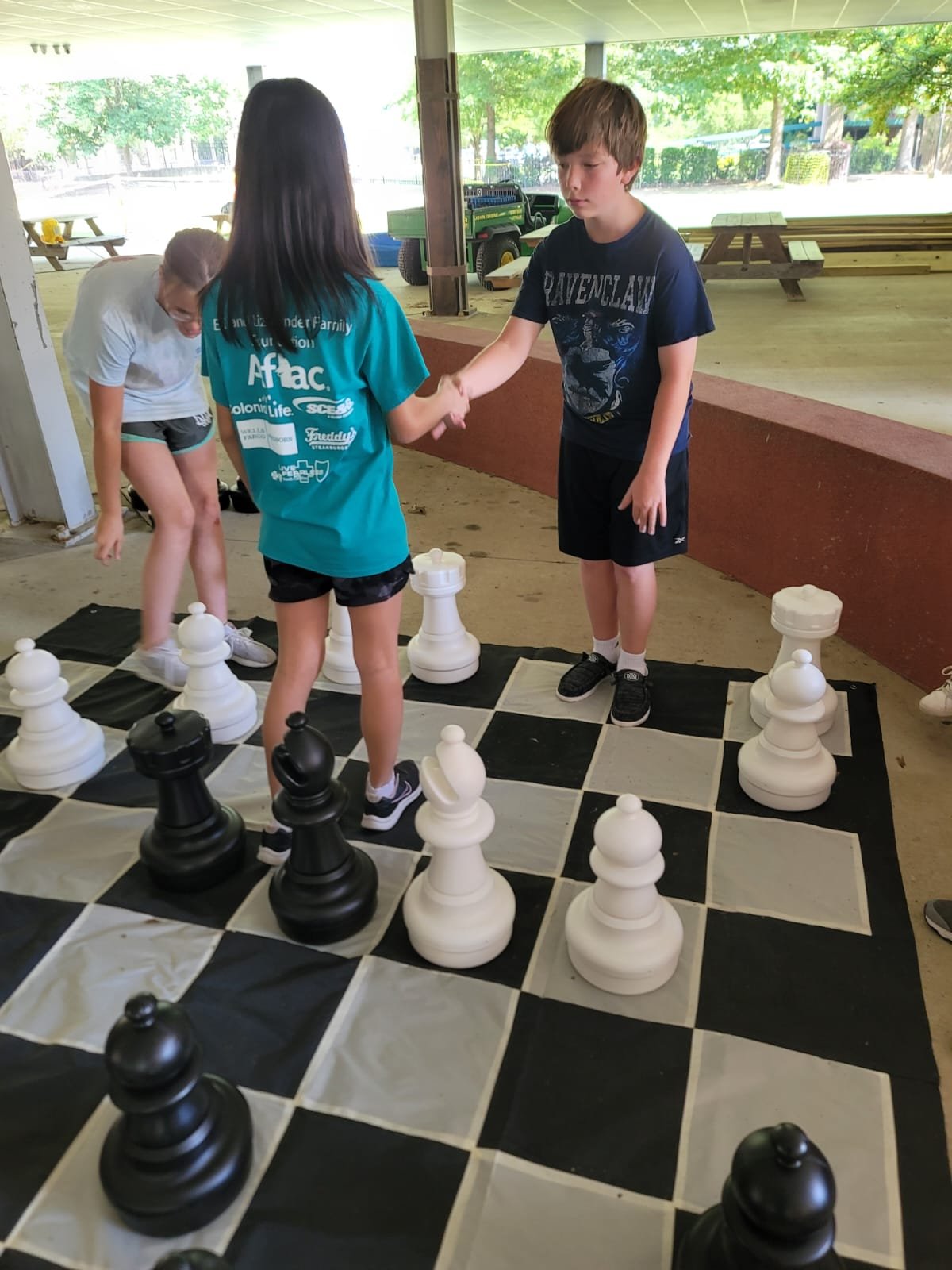 Making the next chess move  New hobbies, Summer camp, Chess board