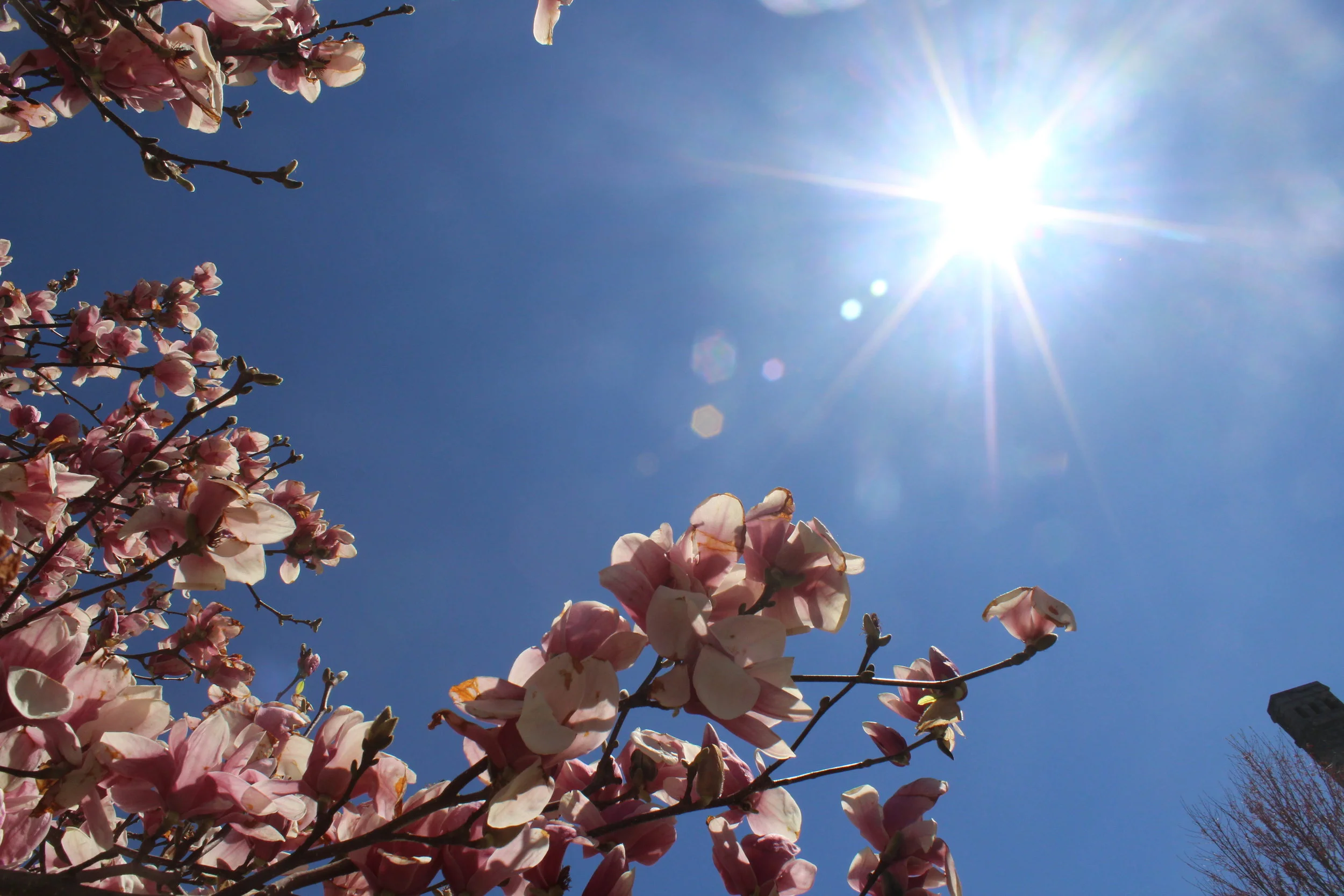 Spring!