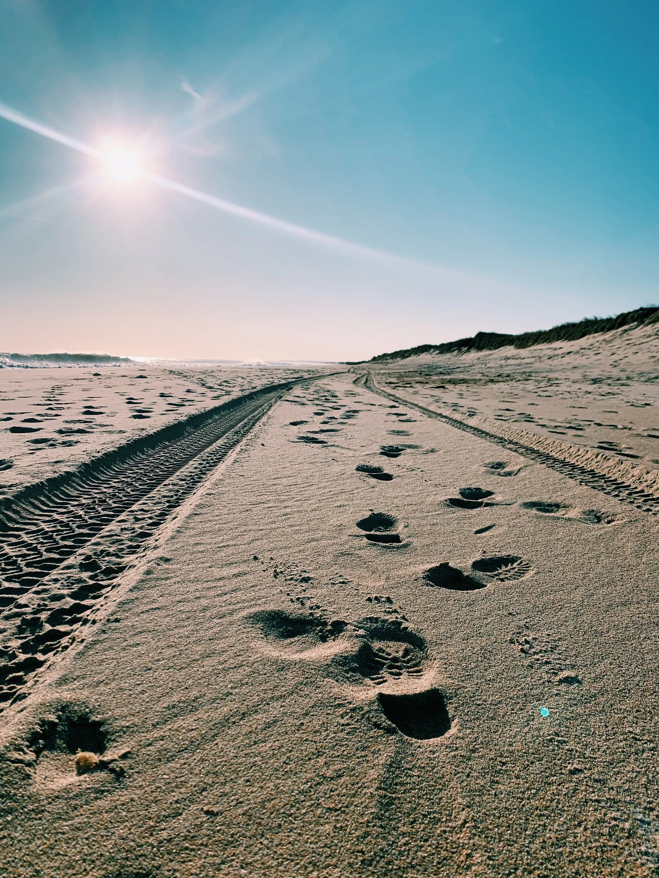 26505A7A-350C-4D0A-8775-1F9DFC6D38FE 2.JPG